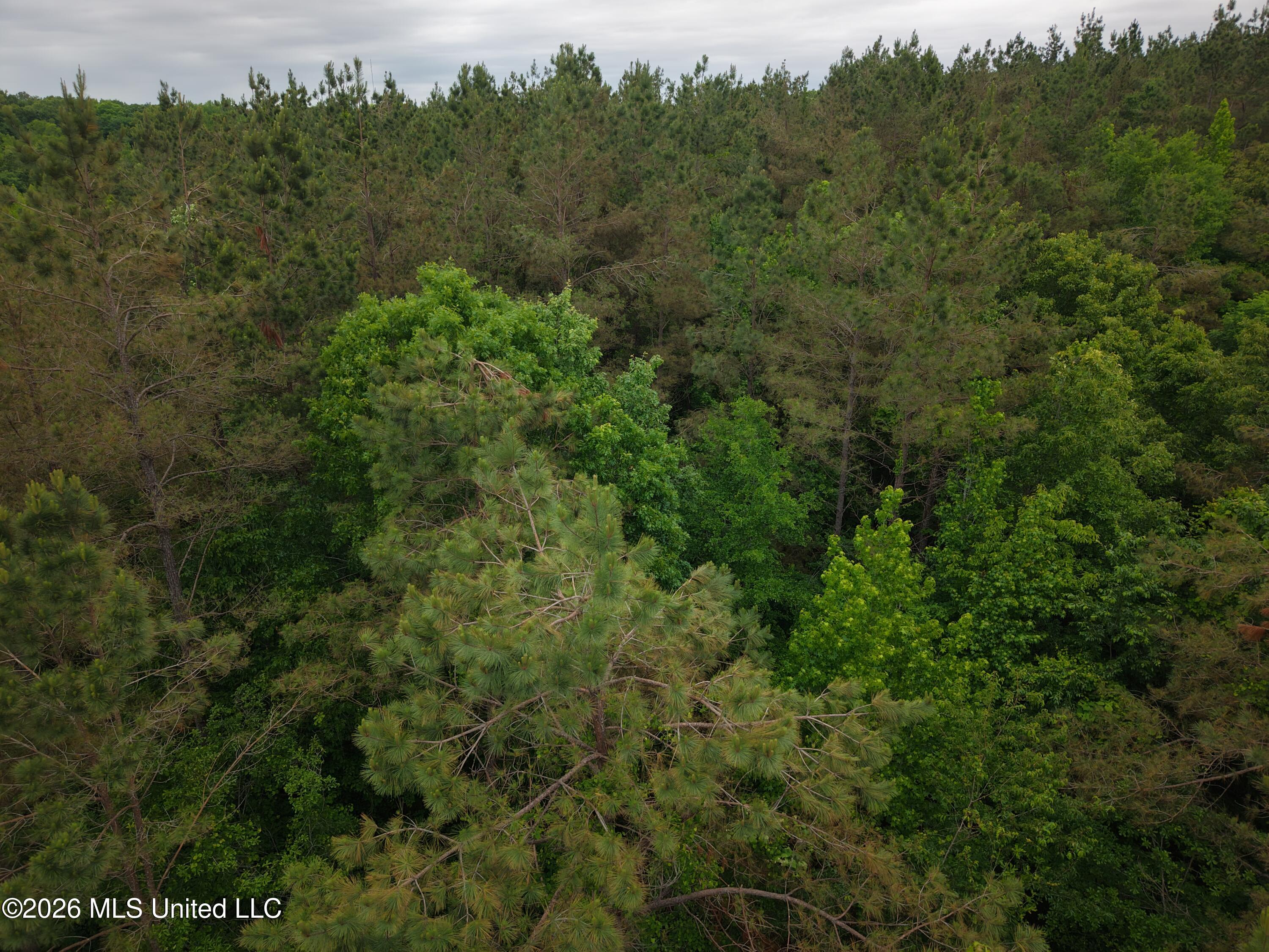 Beechwood Drive Property Photo 5