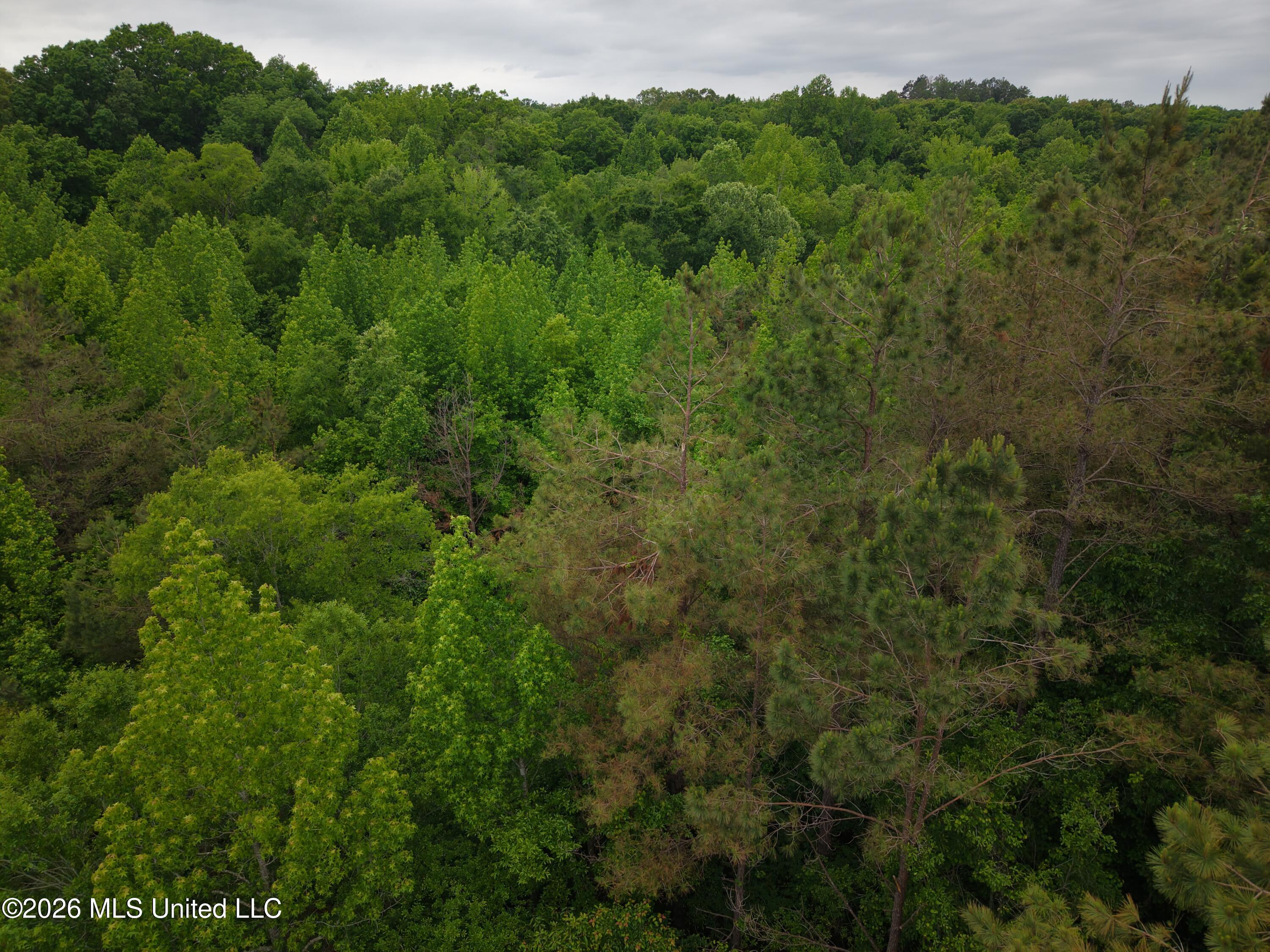 Beechwood Drive Property Photo 6