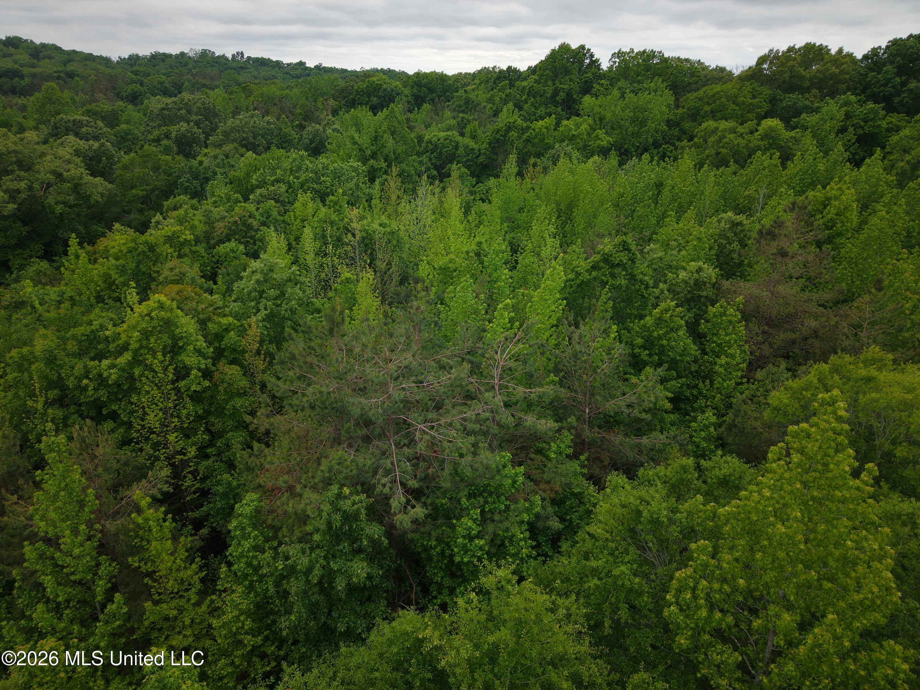 Beechwood Drive Property Photo 7