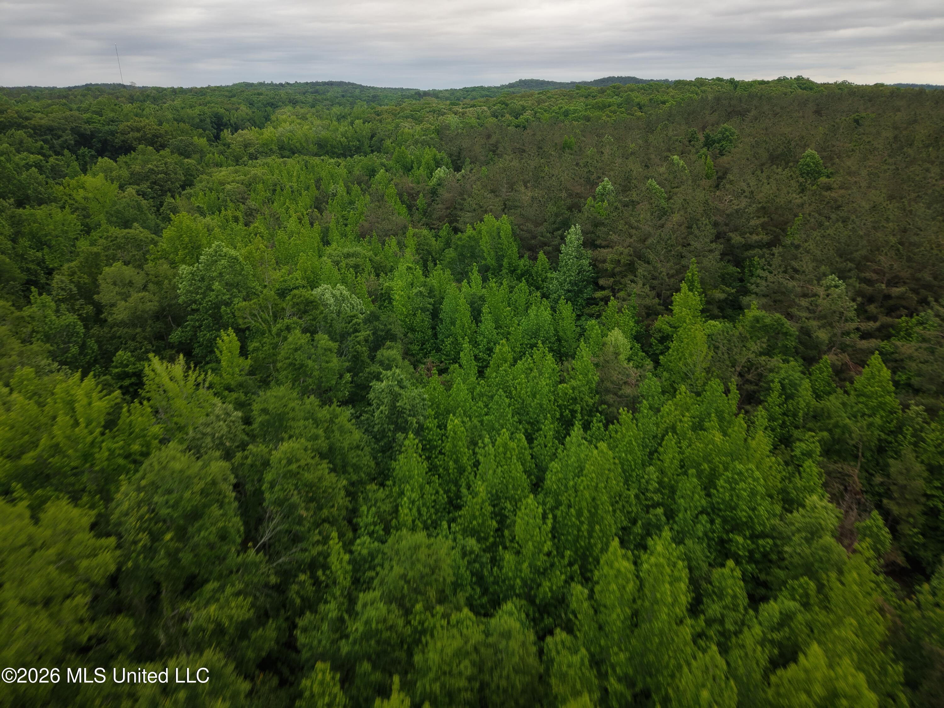Beechwood Drive Property Photo 9