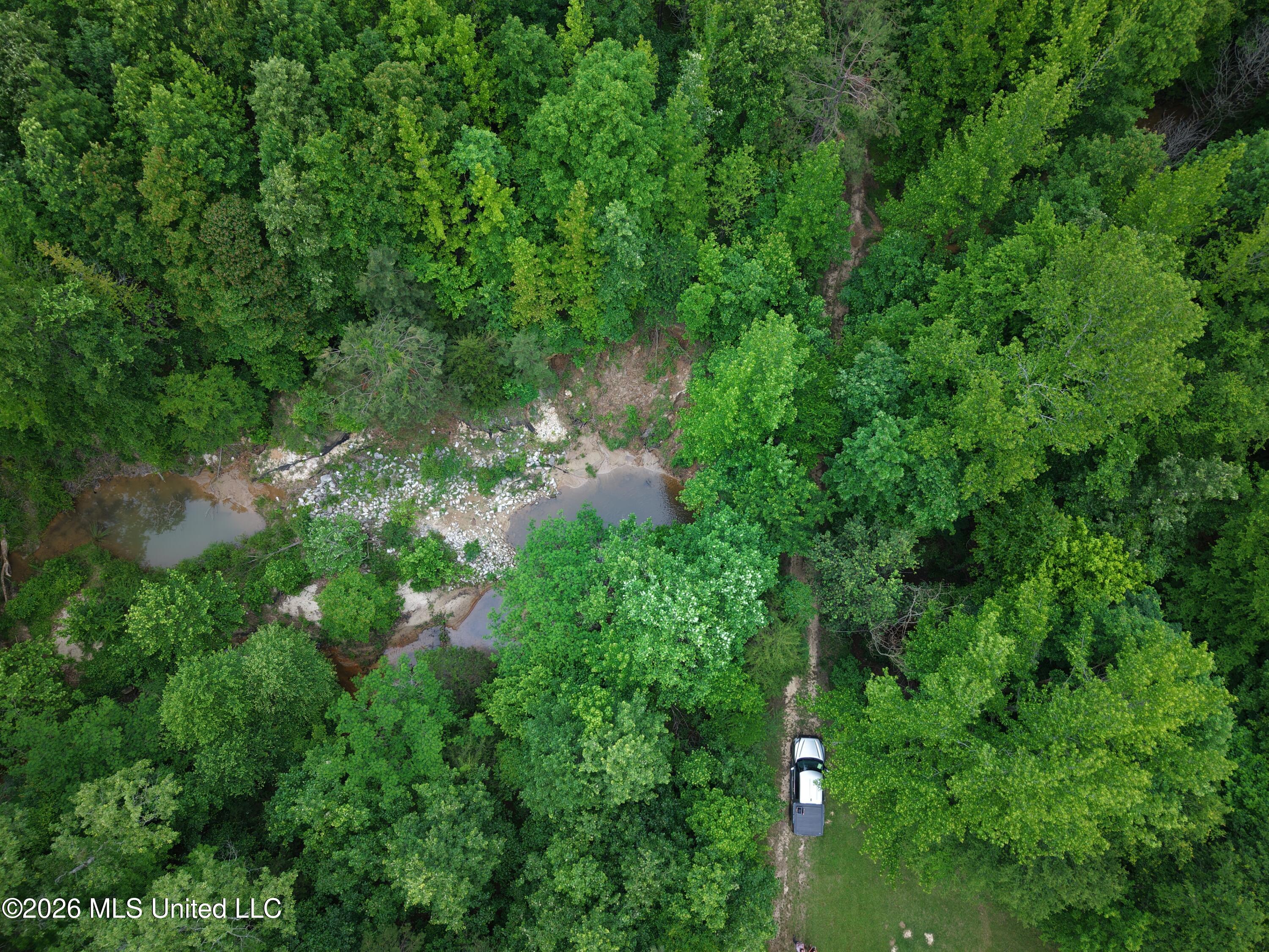 Beechwood Drive Property Photo 11
