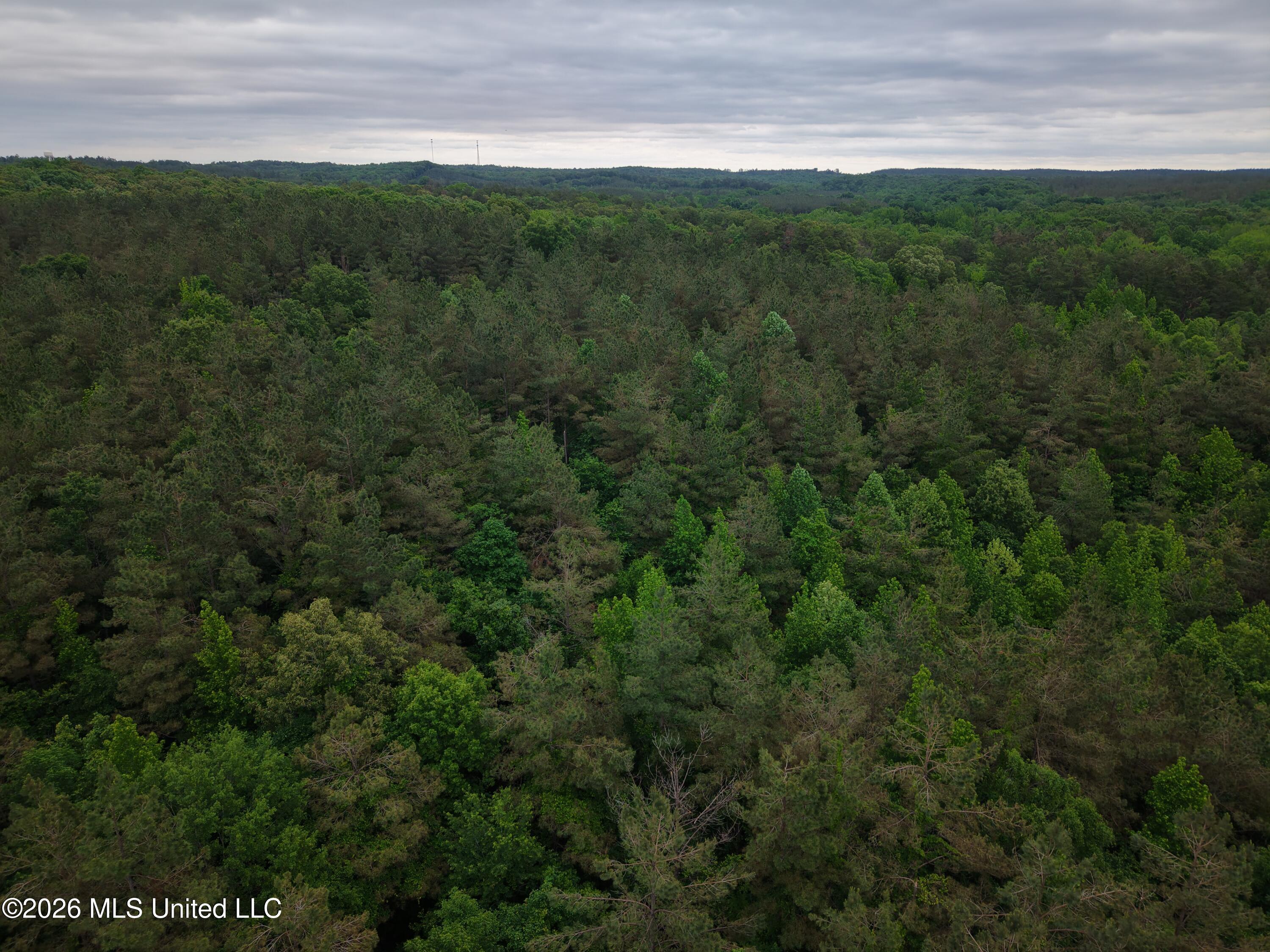 Beechwood Drive Property Photo 12