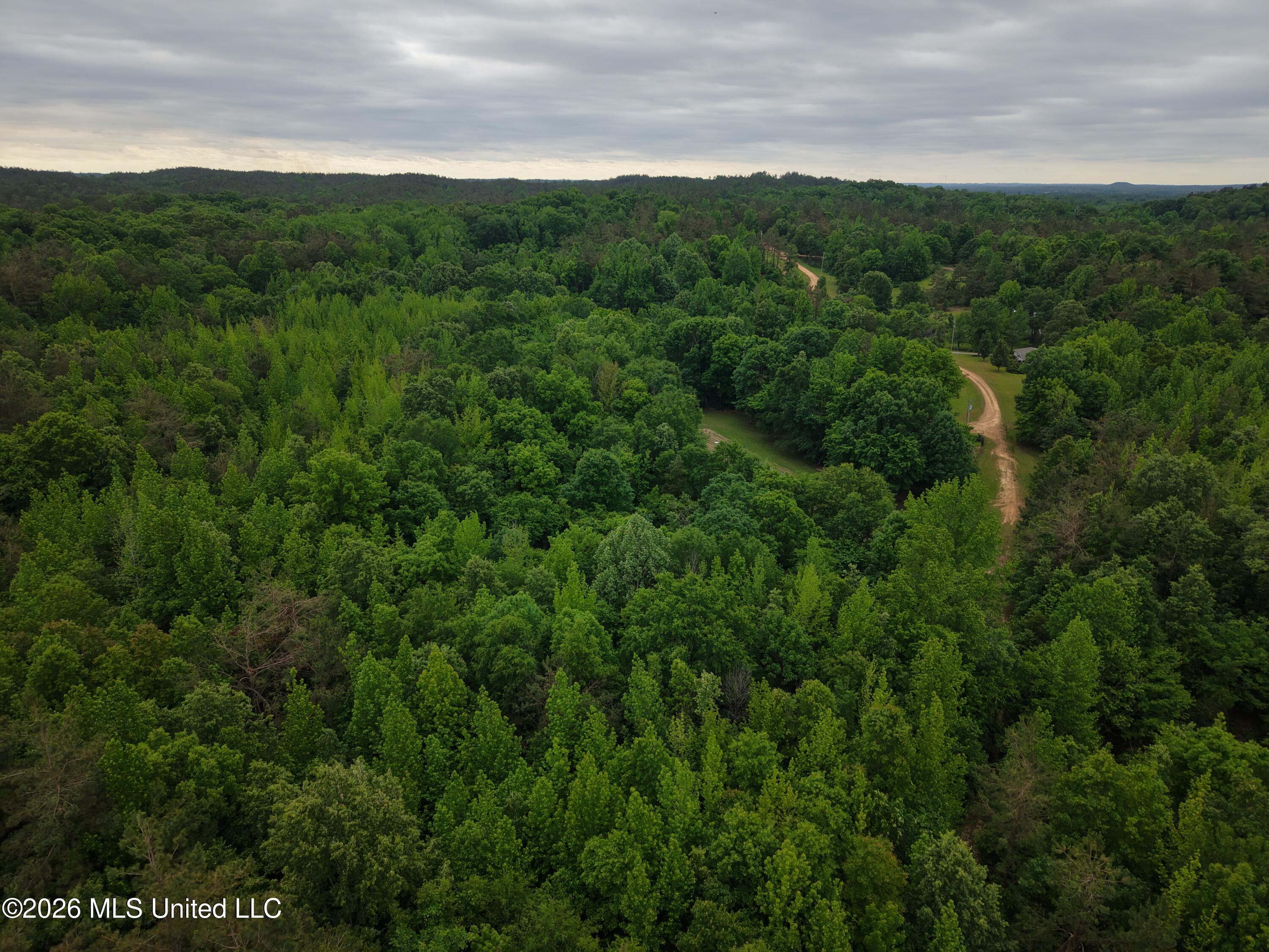 Beechwood Drive Property Photo 13