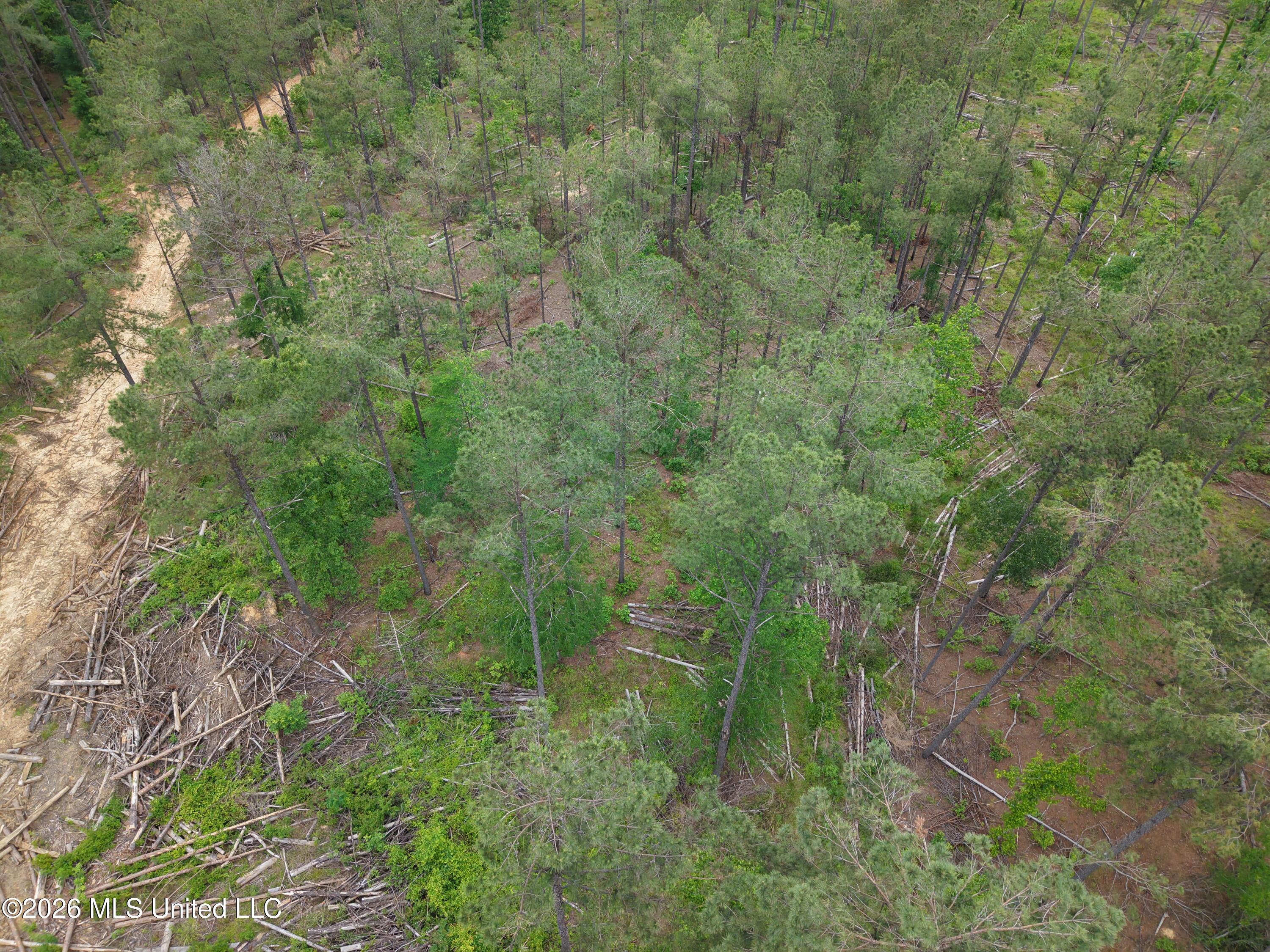 Graysport Crossing Road Property Photo 3