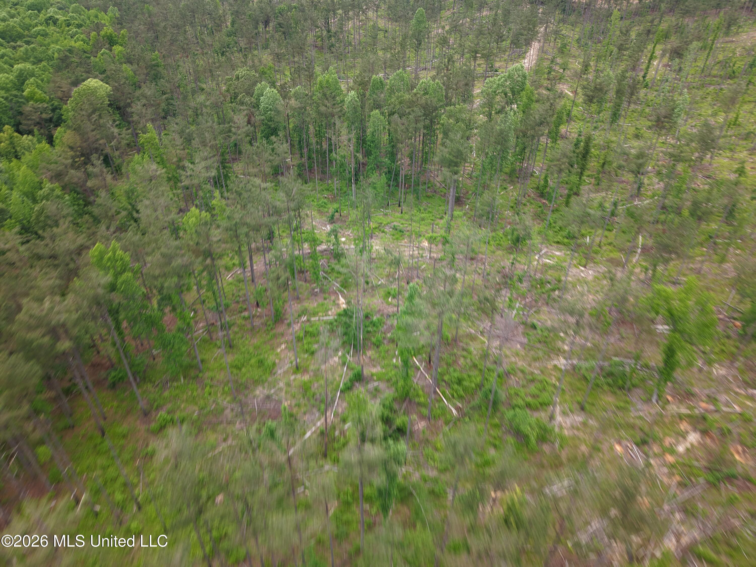 Graysport Crossing Road Property Photo 5