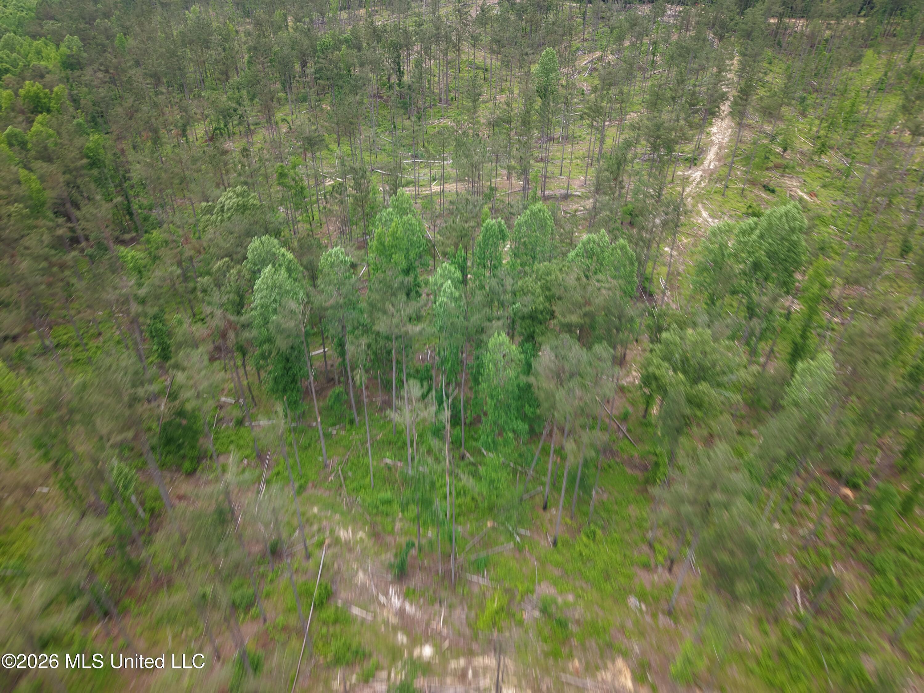 Graysport Crossing Road Property Photo 6