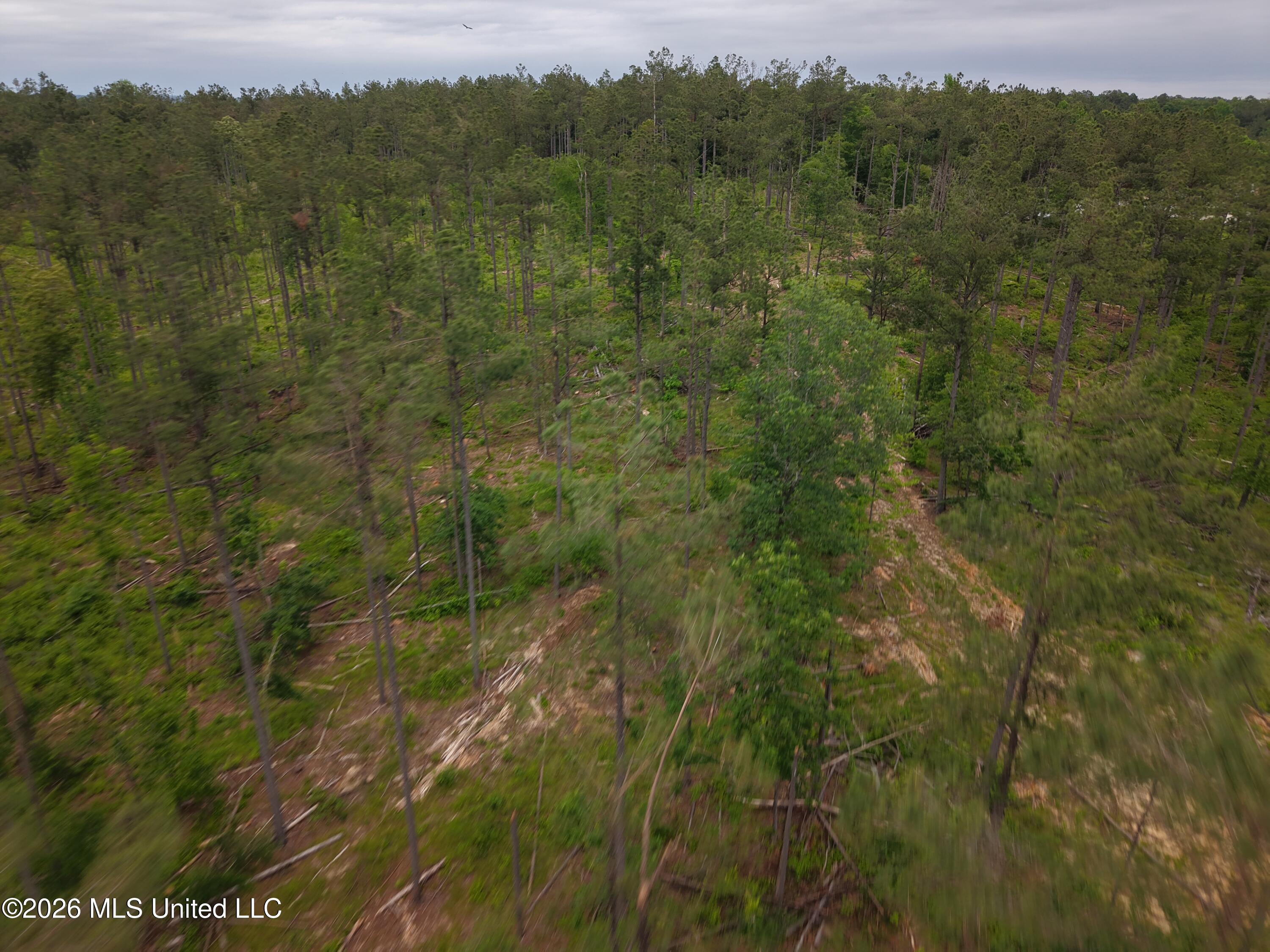Graysport Crossing Road Property Photo 16