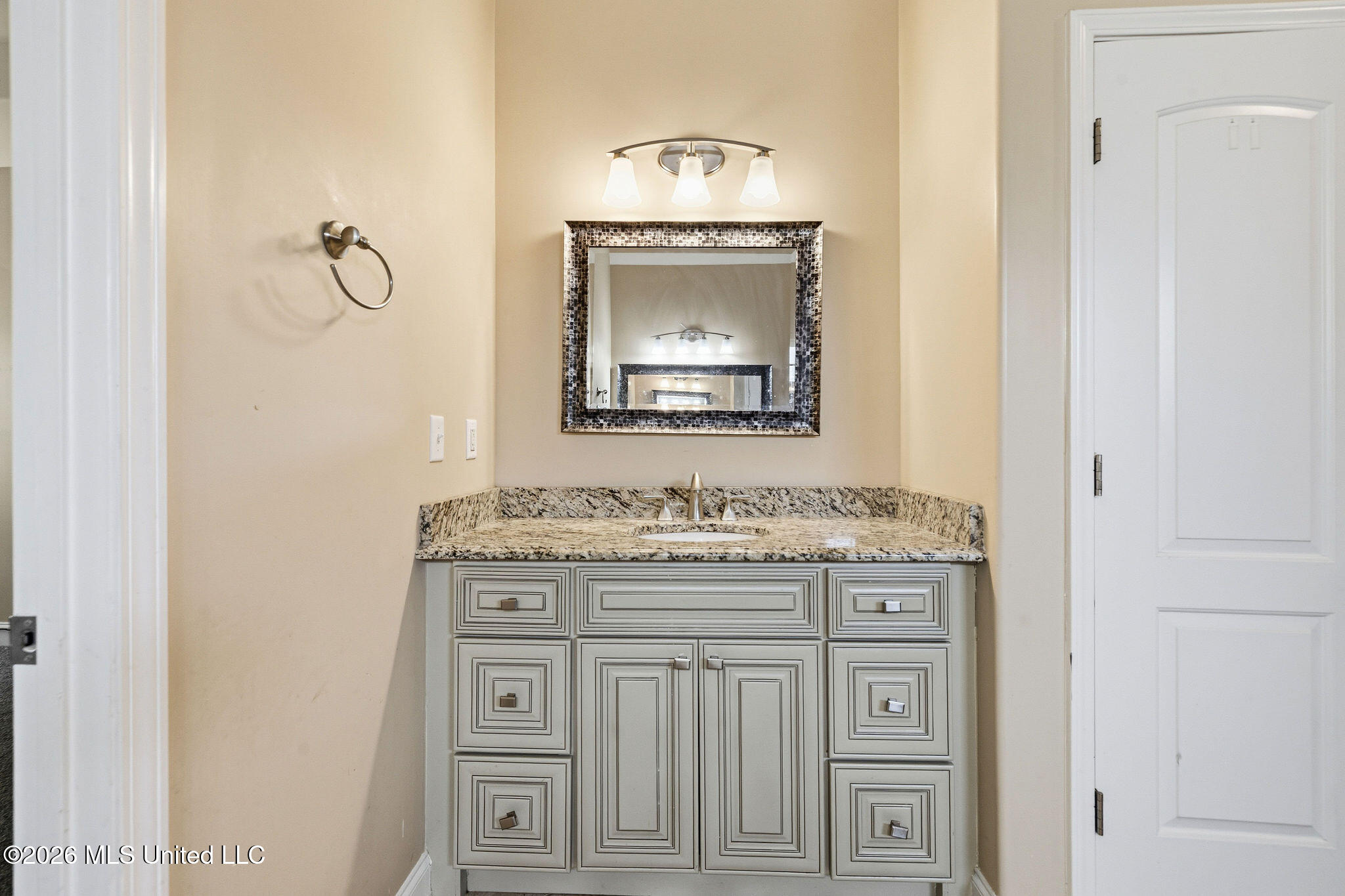 2890 Colony Cove Property Photo 23