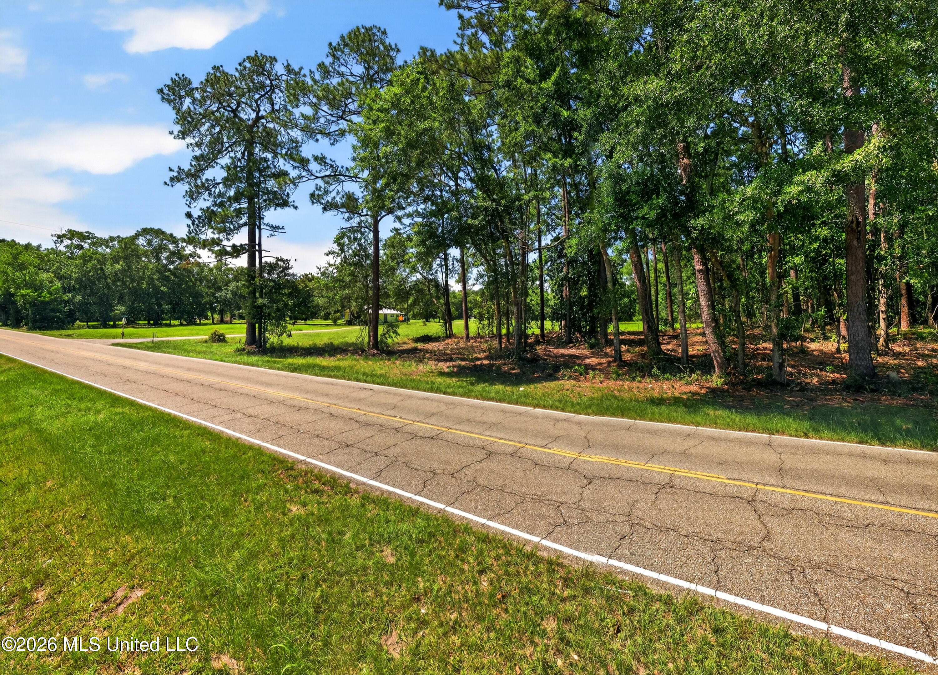 Sister Mary Ellen Road Property Photo 12
