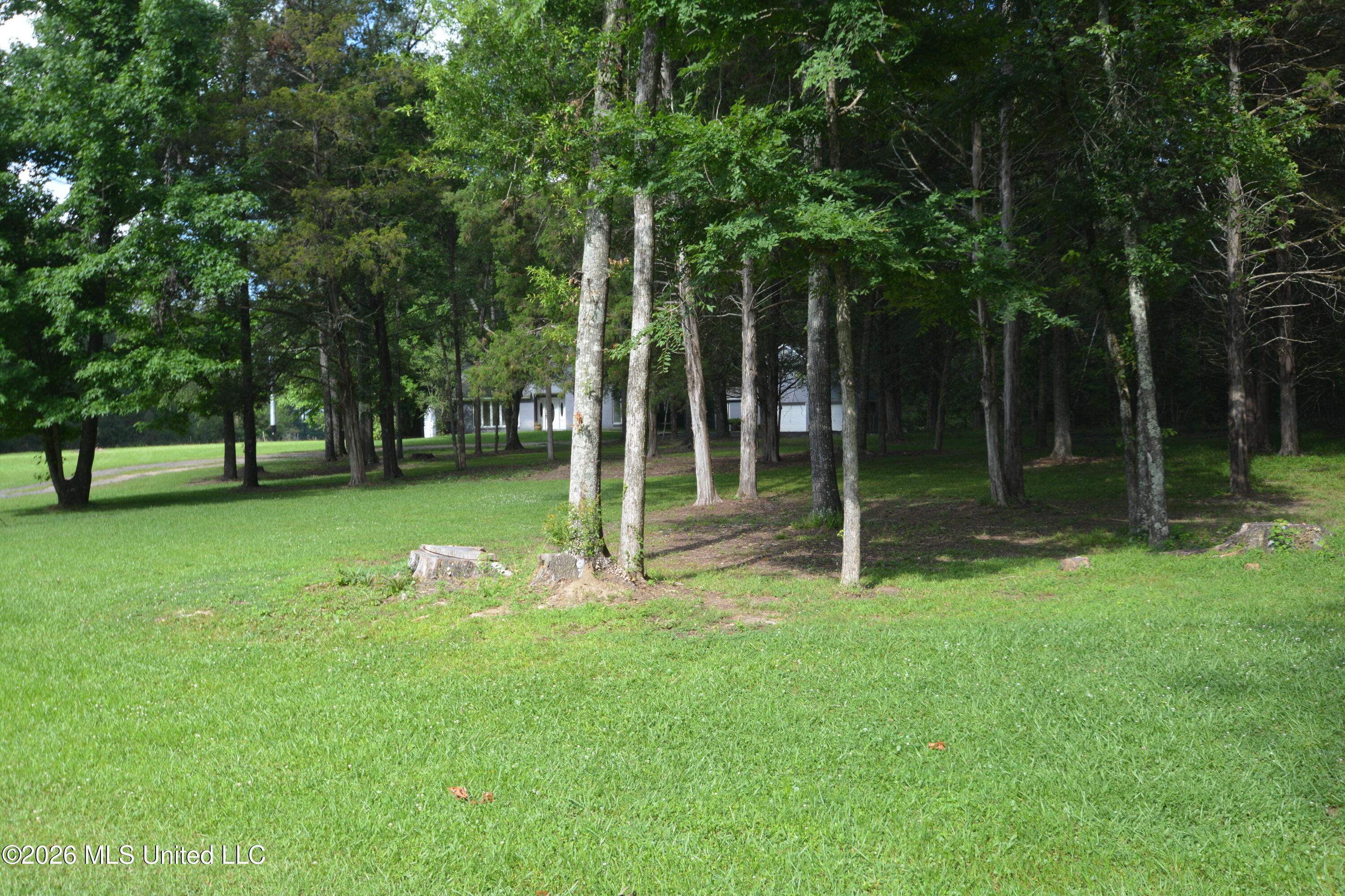 112 Tall Oaks Street Property Photo 60