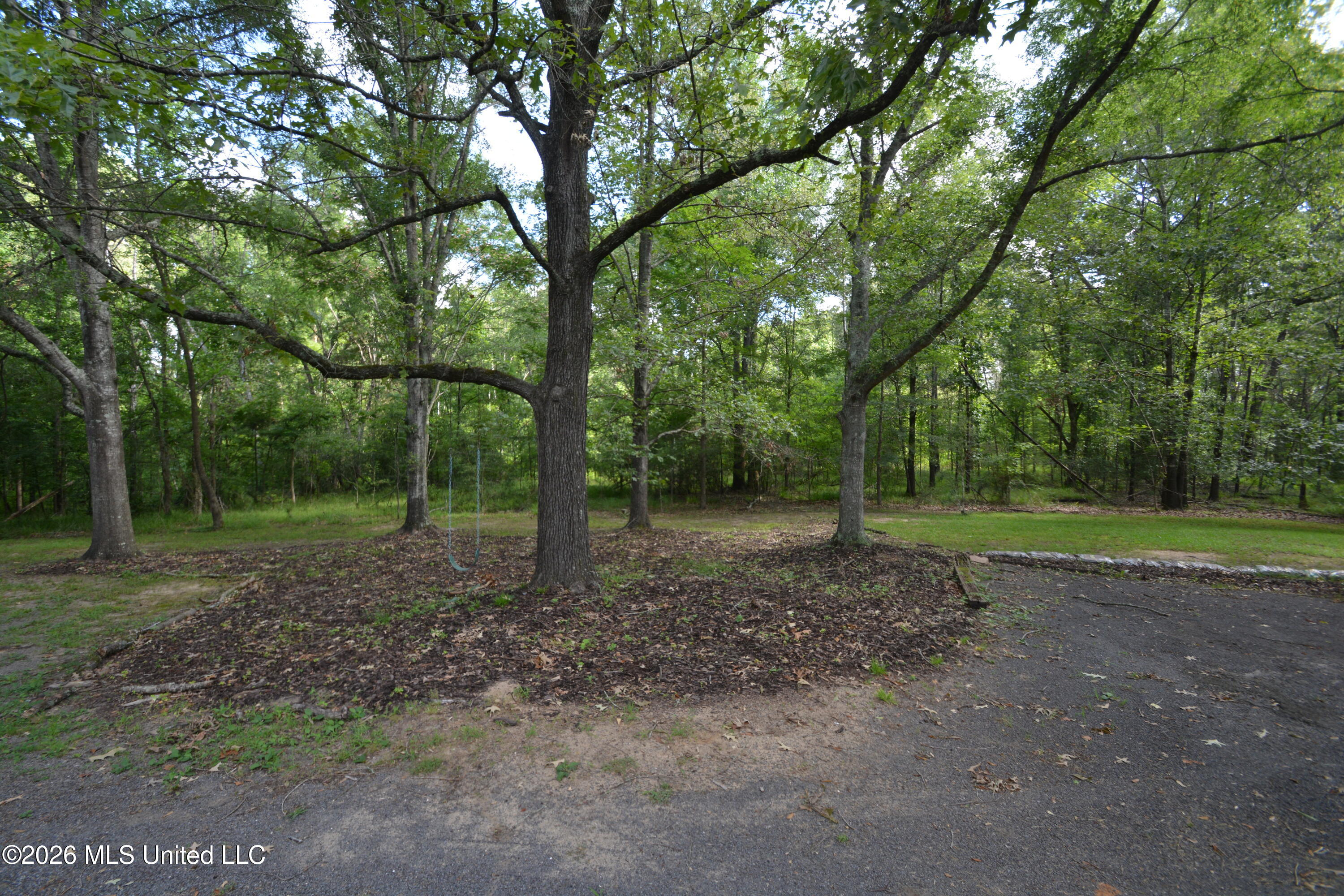 112 Tall Oaks Street Property Photo 63