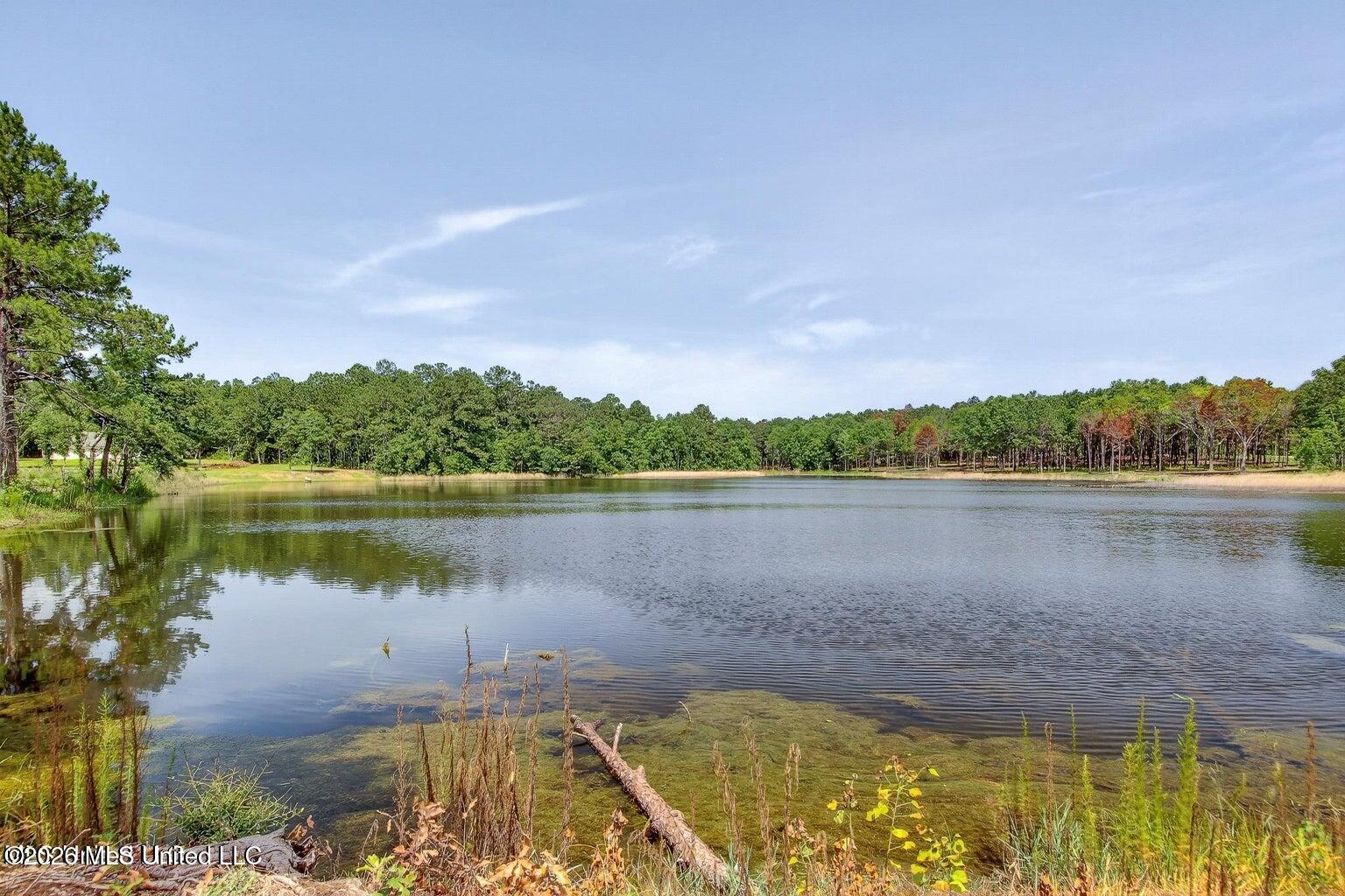 27201 E Lake Cypress Drive Property Photo 13
