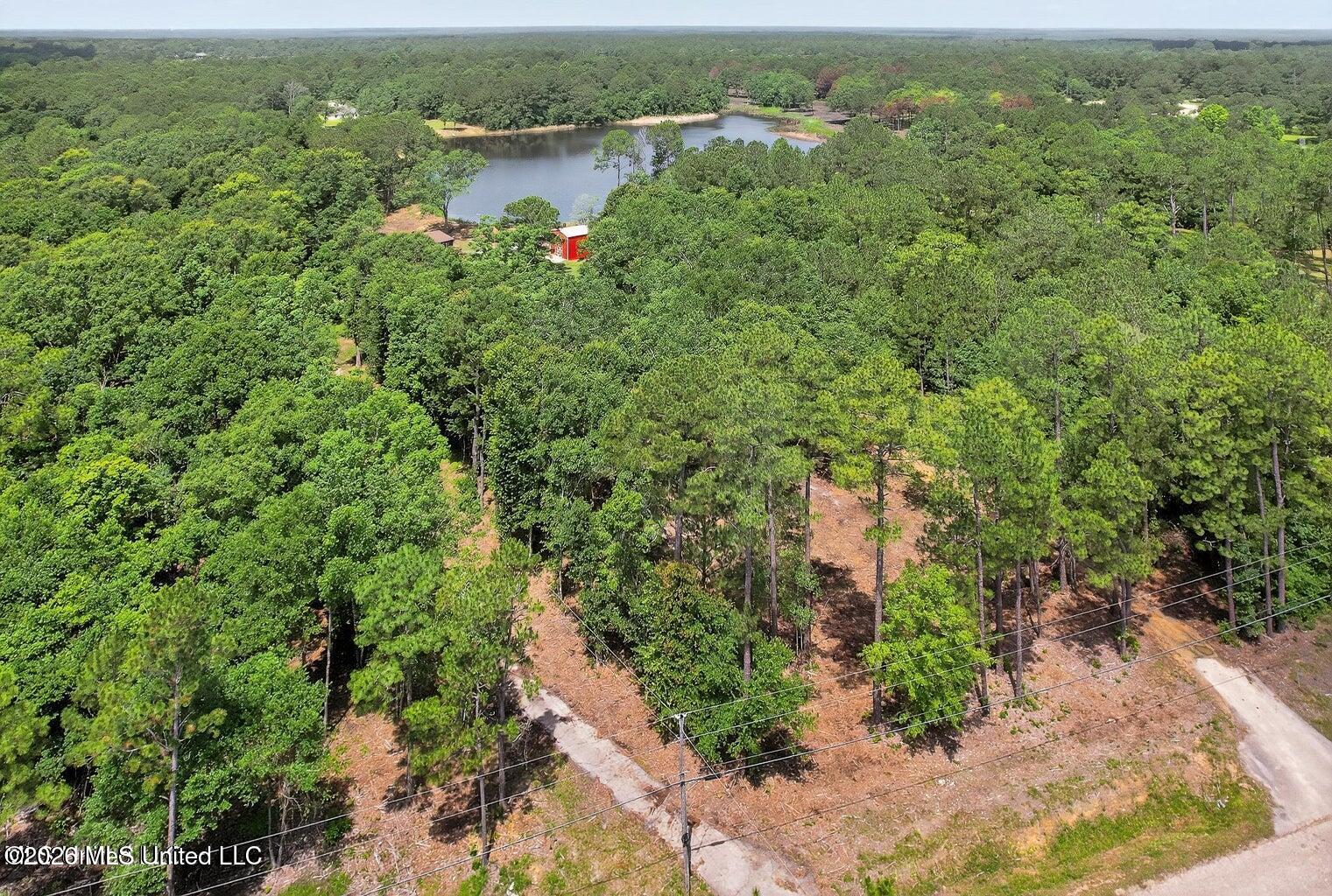 27201 E Lake Cypress Drive Property Photo 21