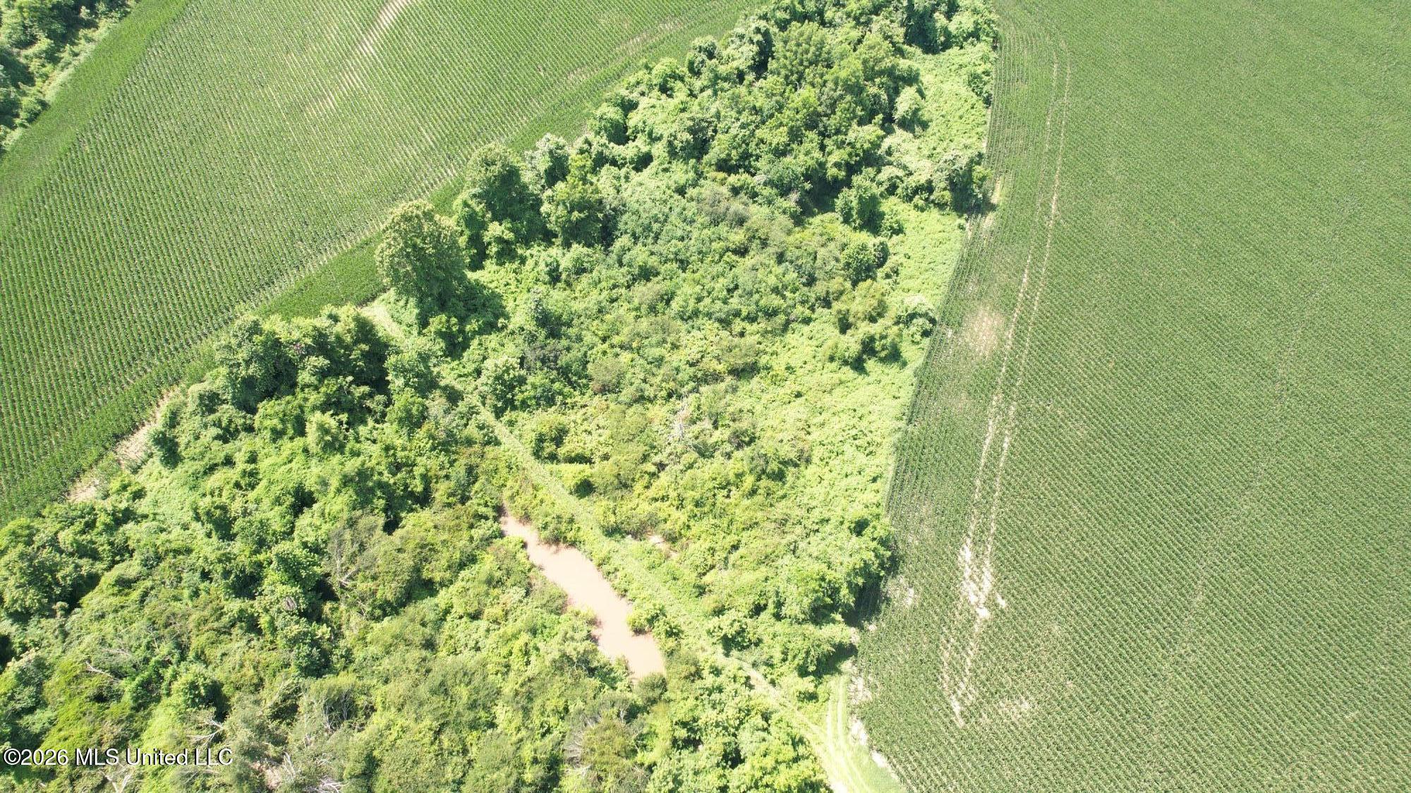 Cr 540 Property Photo 7
