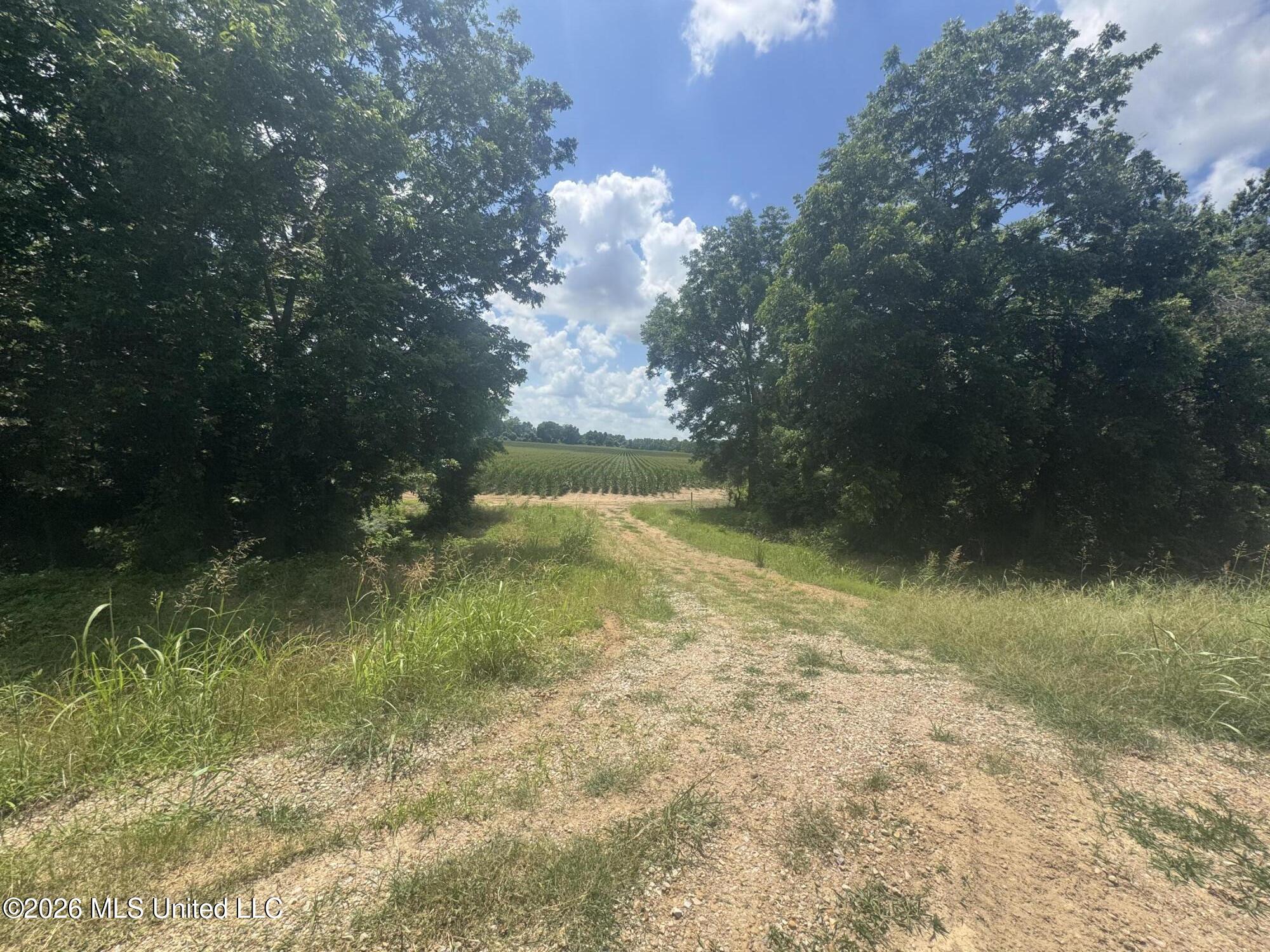 Cr 540 Property Photo 14