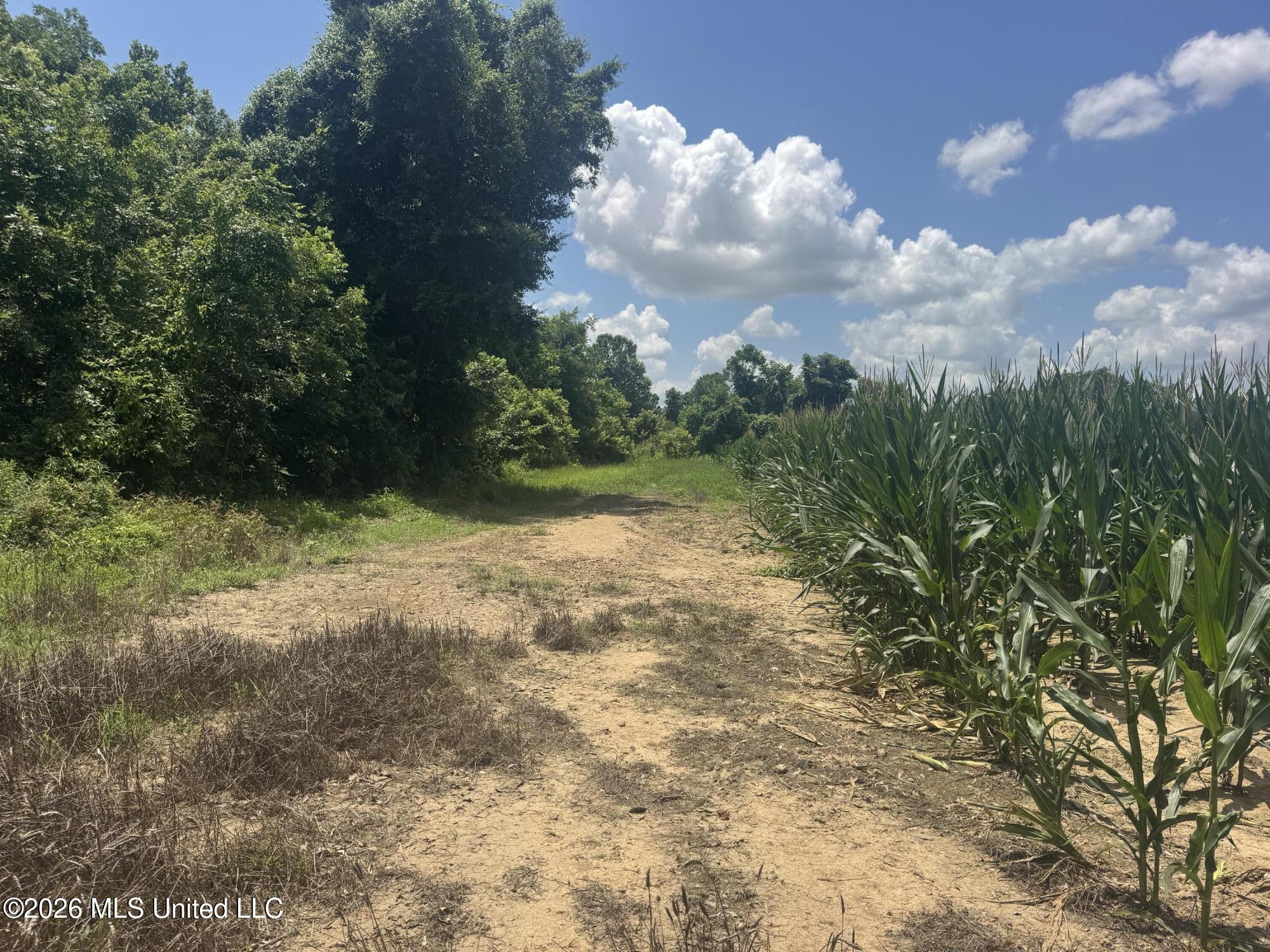 Cr 540 Property Photo 16
