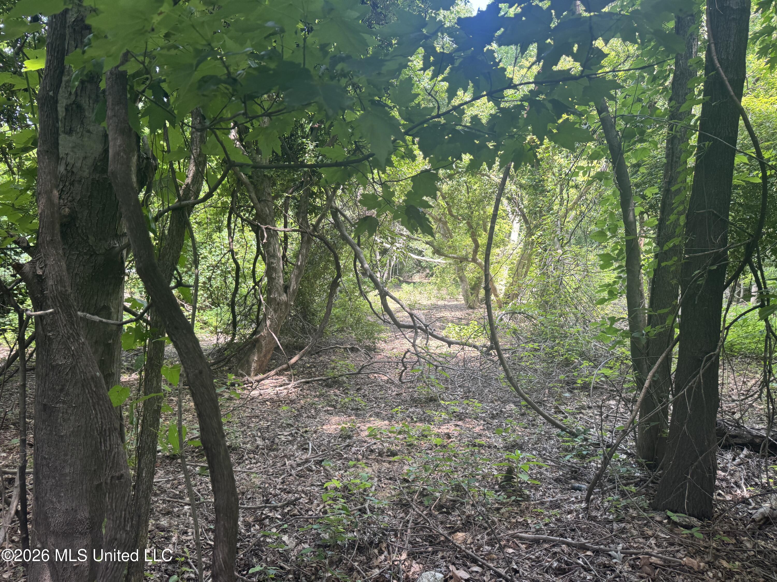 Cr 540 Property Photo 19