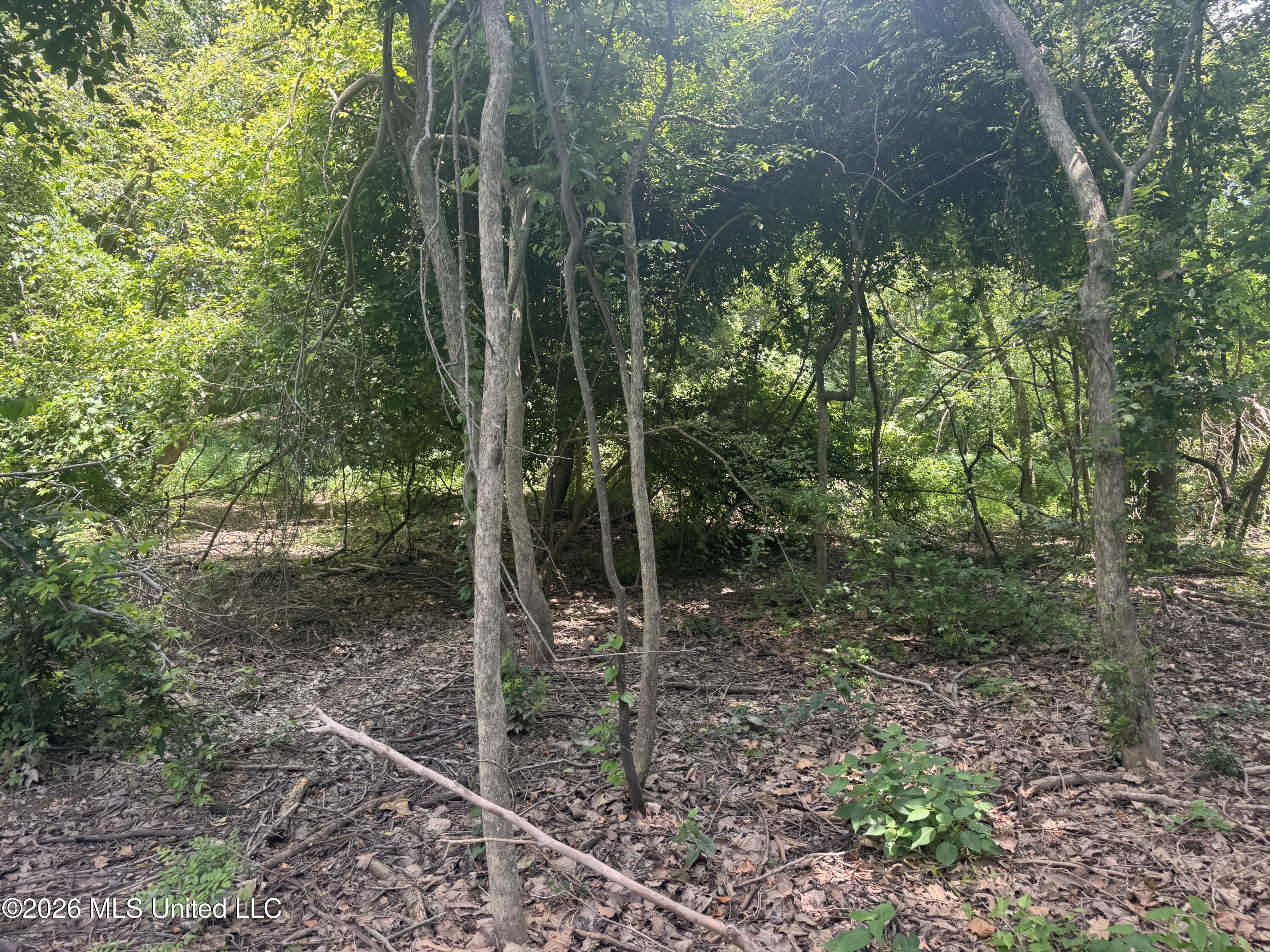 Cr 540 Property Photo 20