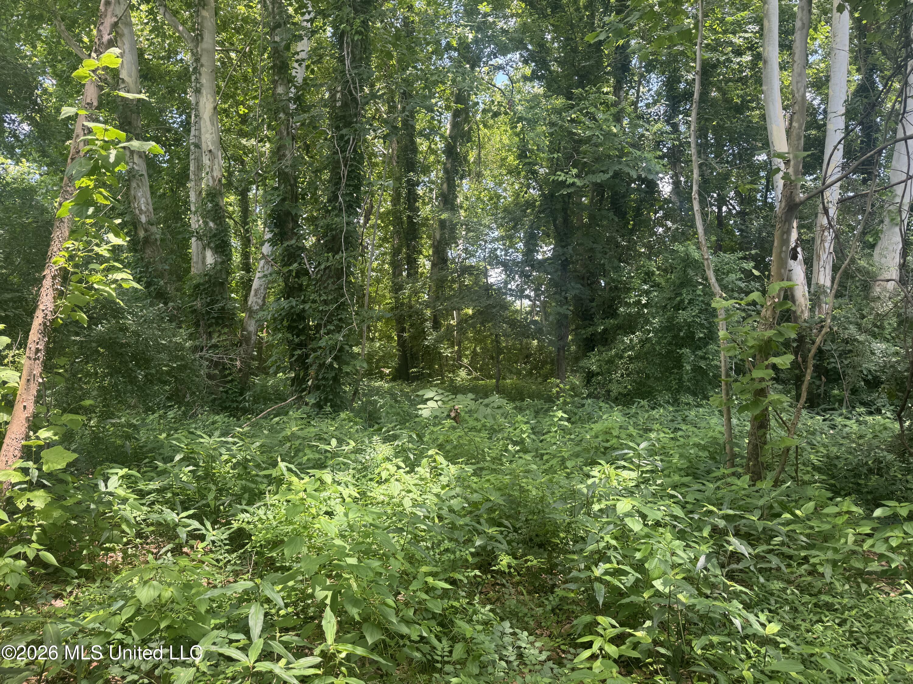 Cr 540 Property Photo 21