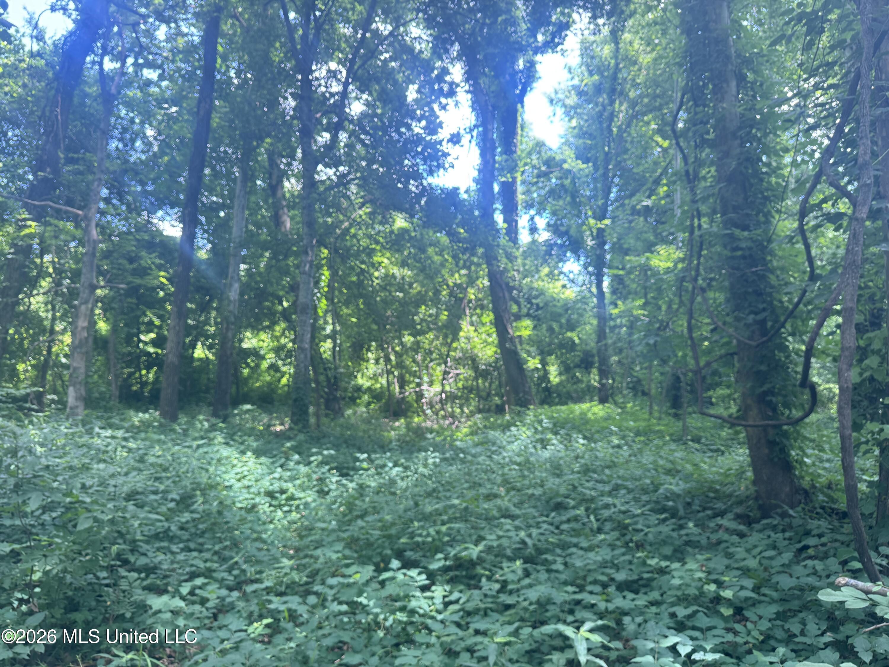 Cr 540 Property Photo 22