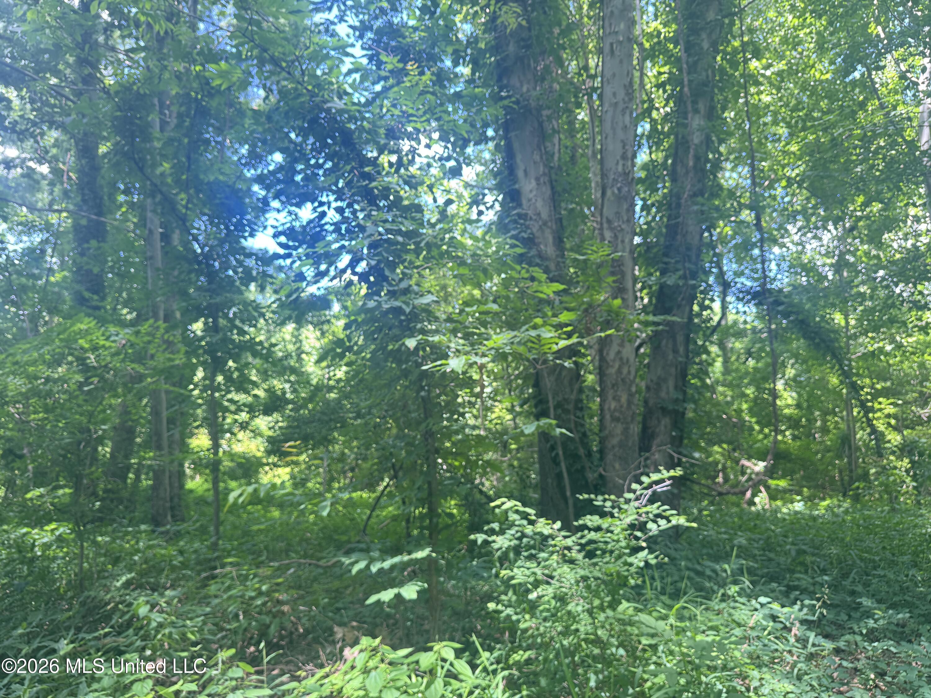 Cr 540 Property Photo 23