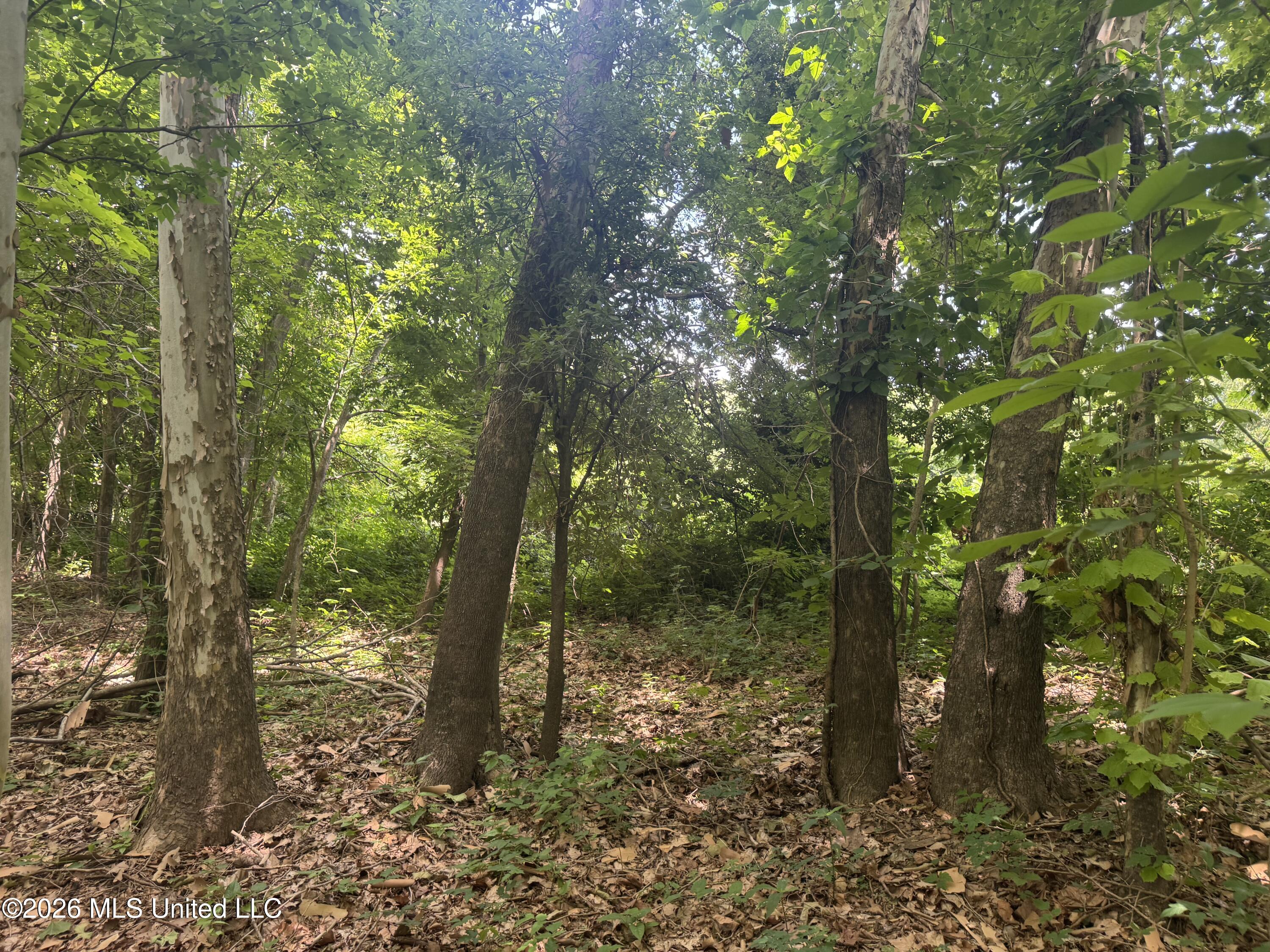Cr 540 Property Photo 24