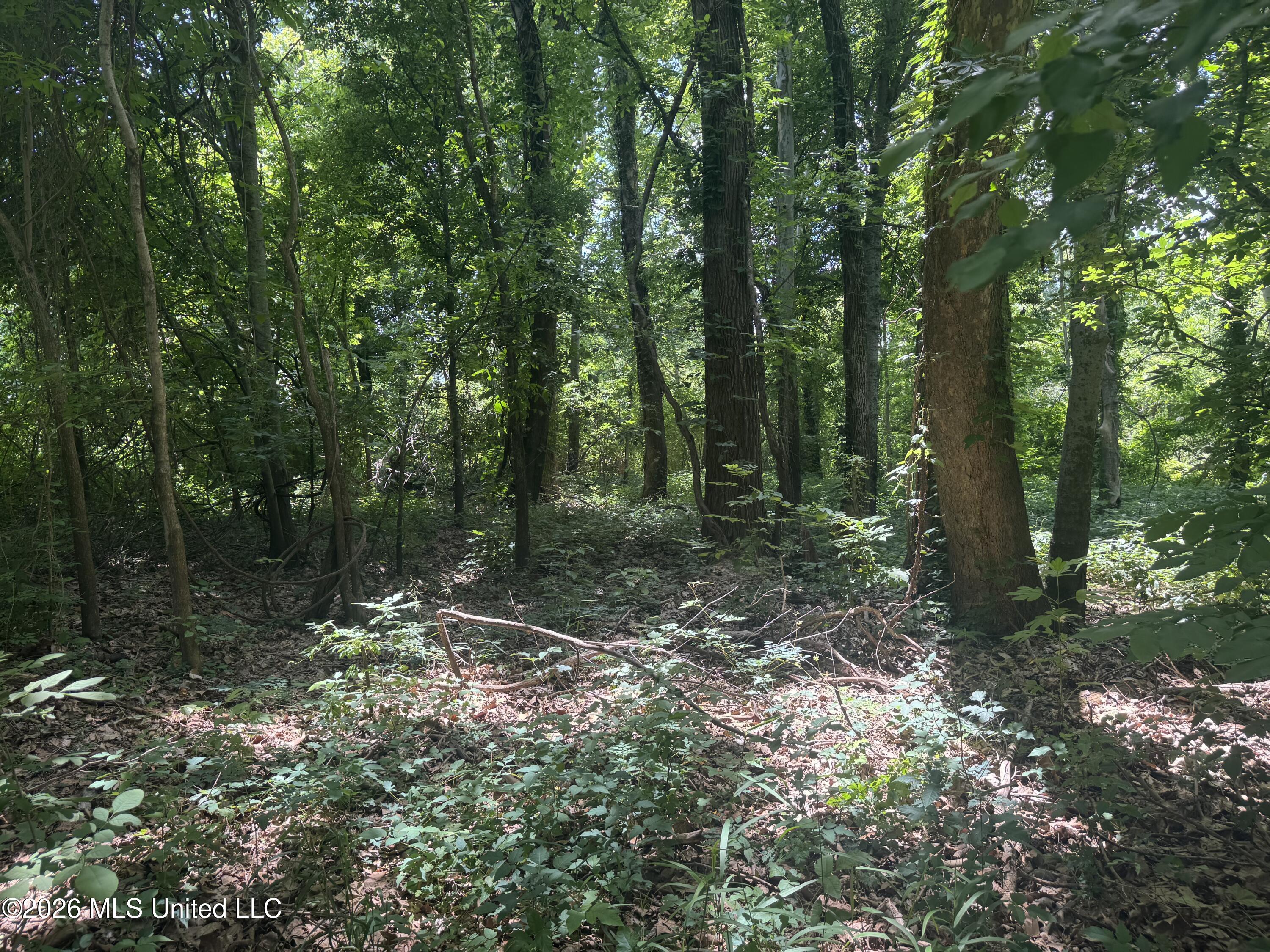 Cr 540 Property Photo 25