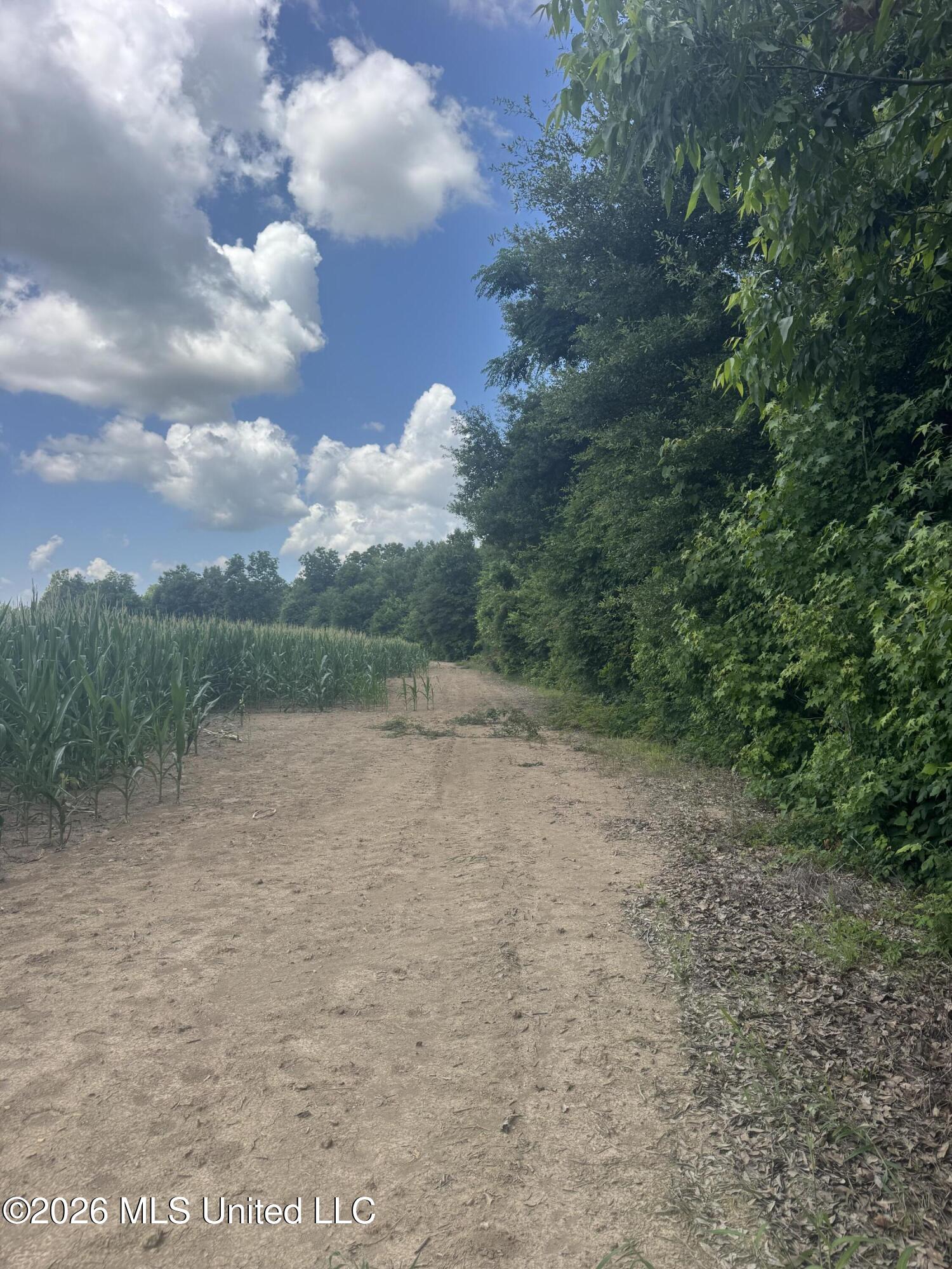 Cr 540 Property Photo 27
