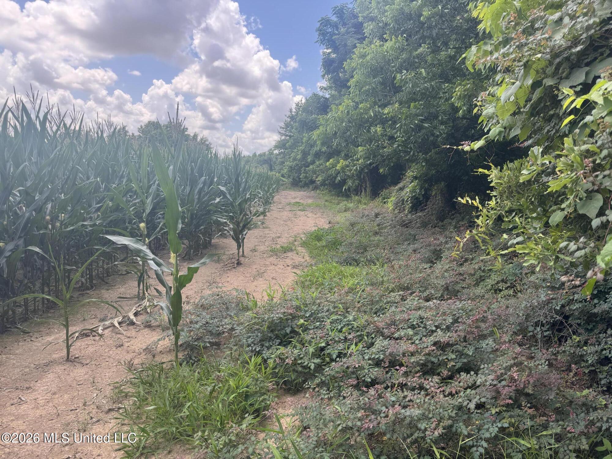 Cr 540 Property Photo 28