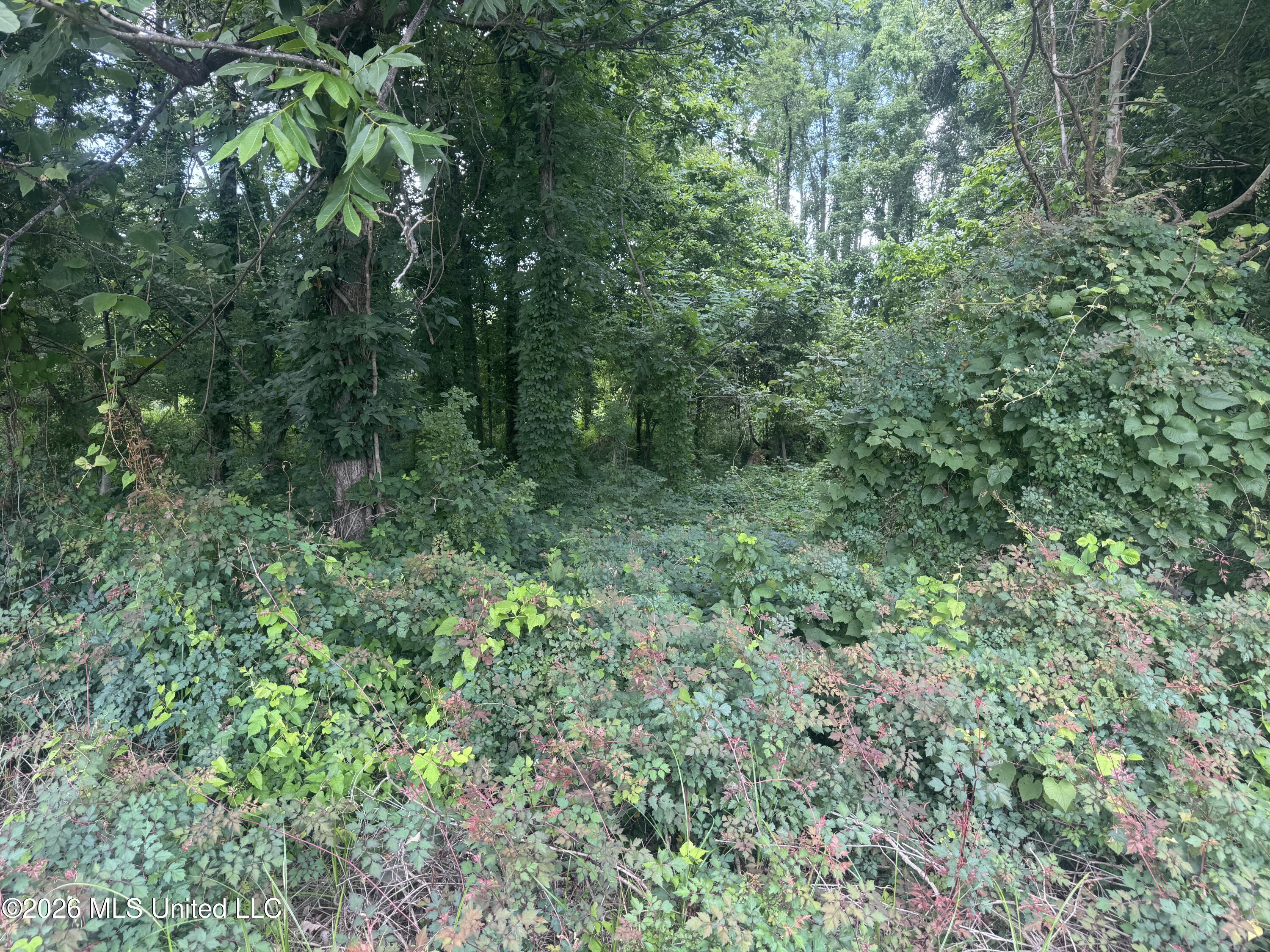 Cr 540 Property Photo 29