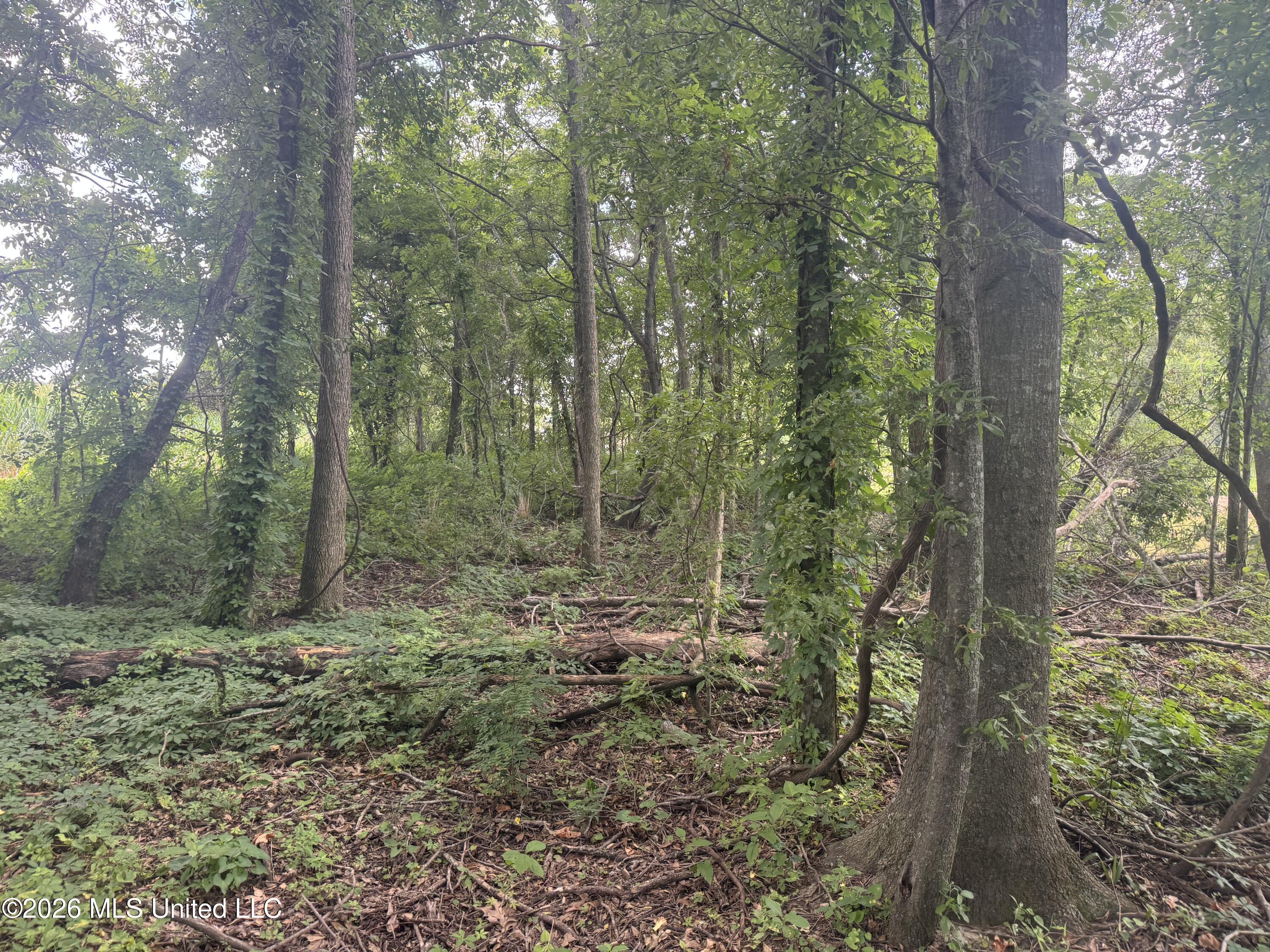 Cr 540 Property Photo 30