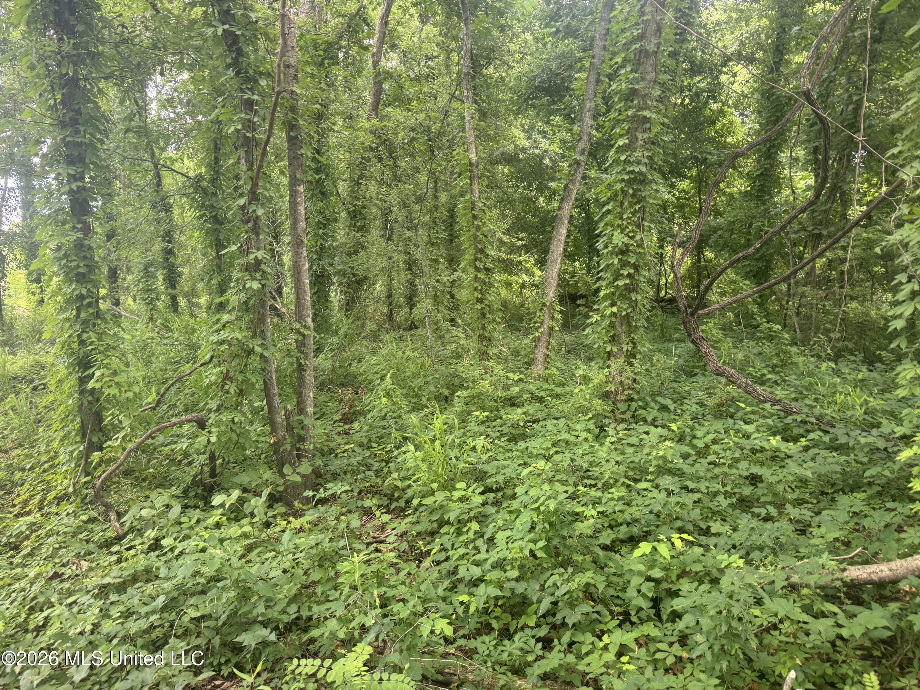 Cr 540 Property Photo 32