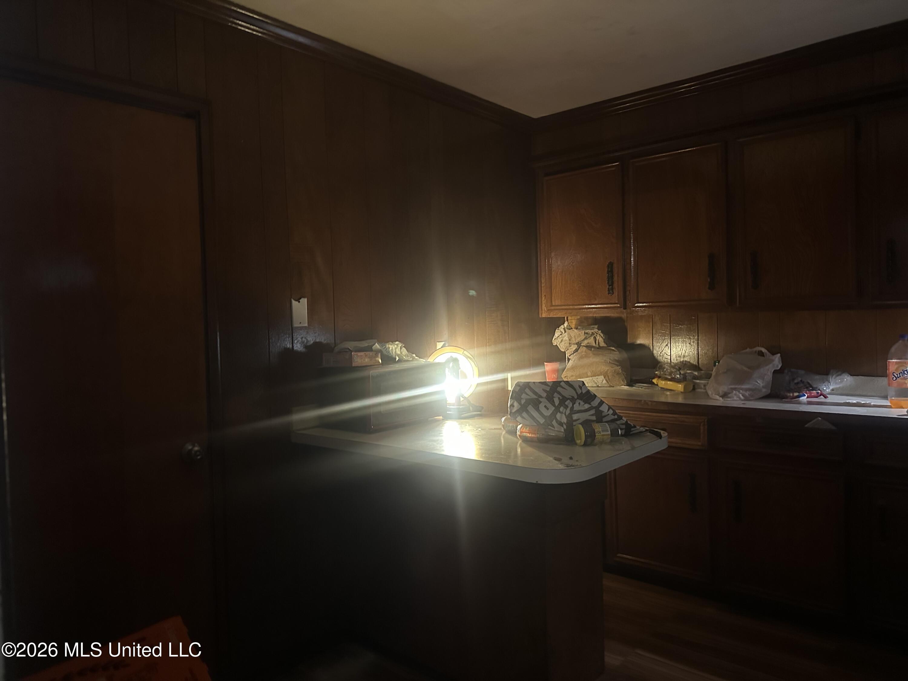 3025 Meadow Forest Drive Property Photo 5