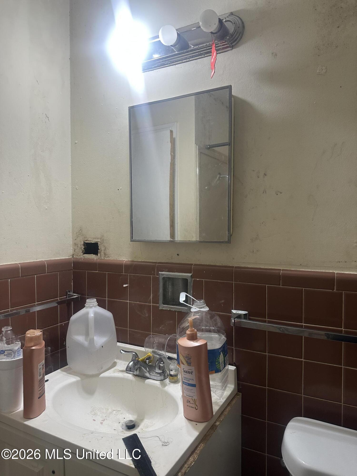 3025 Meadow Forest Drive Property Photo 17