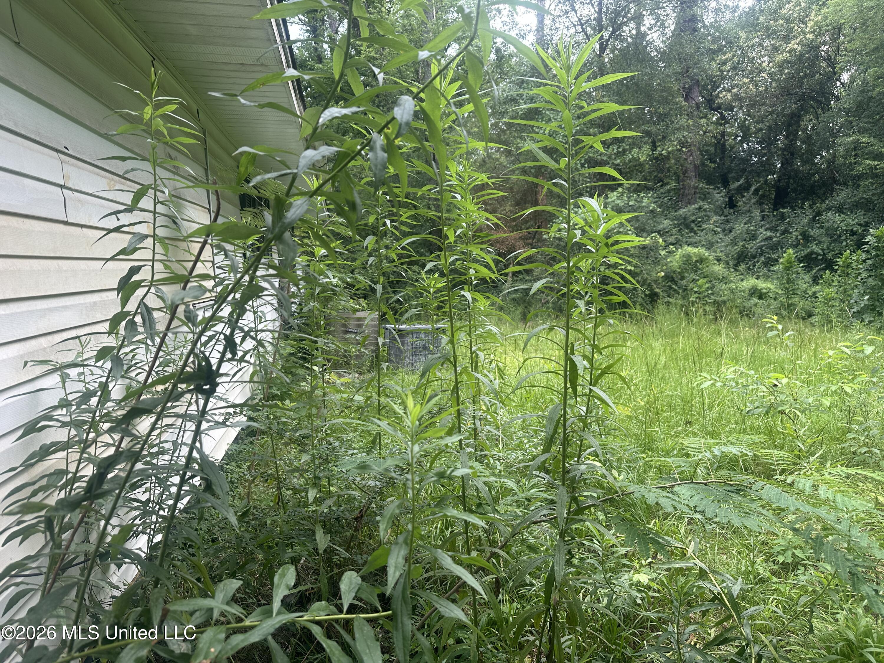 3025 Meadow Forest Drive Property Photo 26