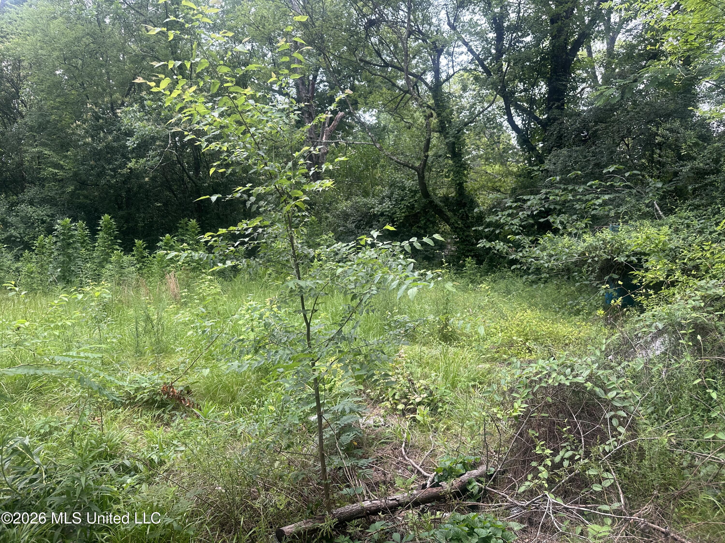 3025 Meadow Forest Drive Property Photo 27