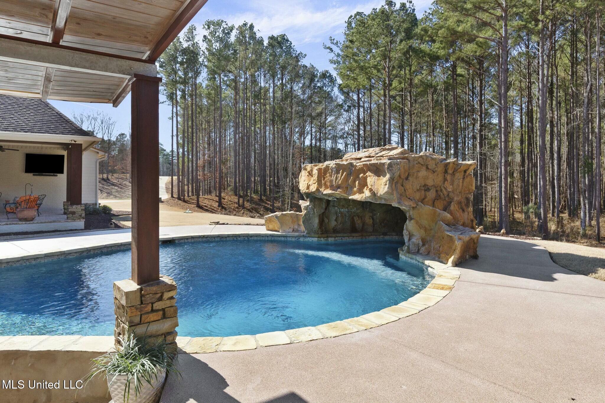 167 Dogwood Trace Property Photo 78