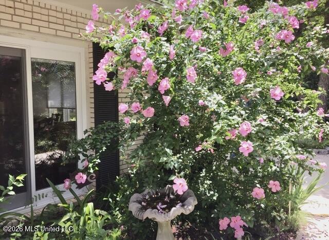 35 Scotland Drive Property Photo 70
