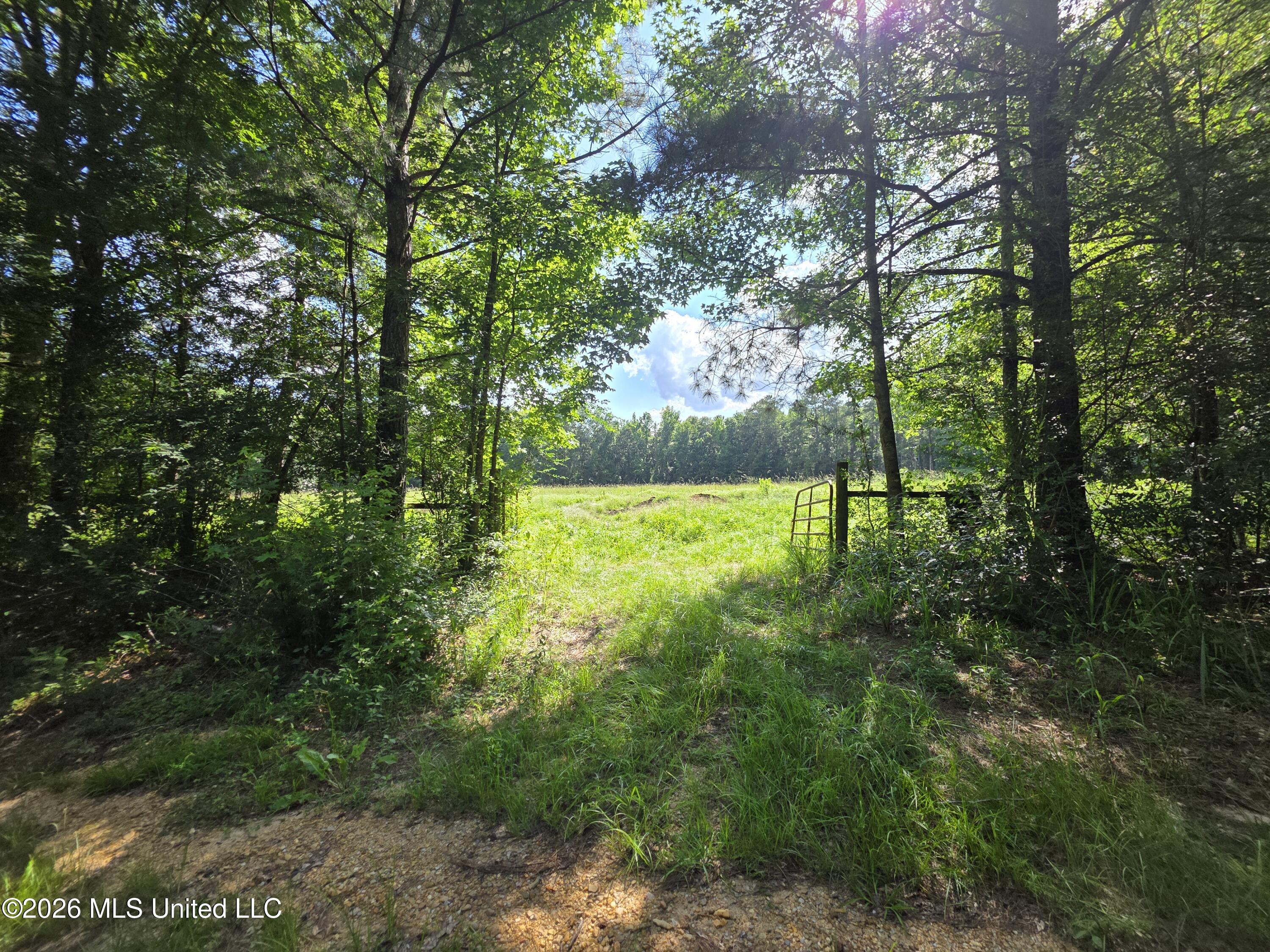 416 Summers Lane Property Photo 4