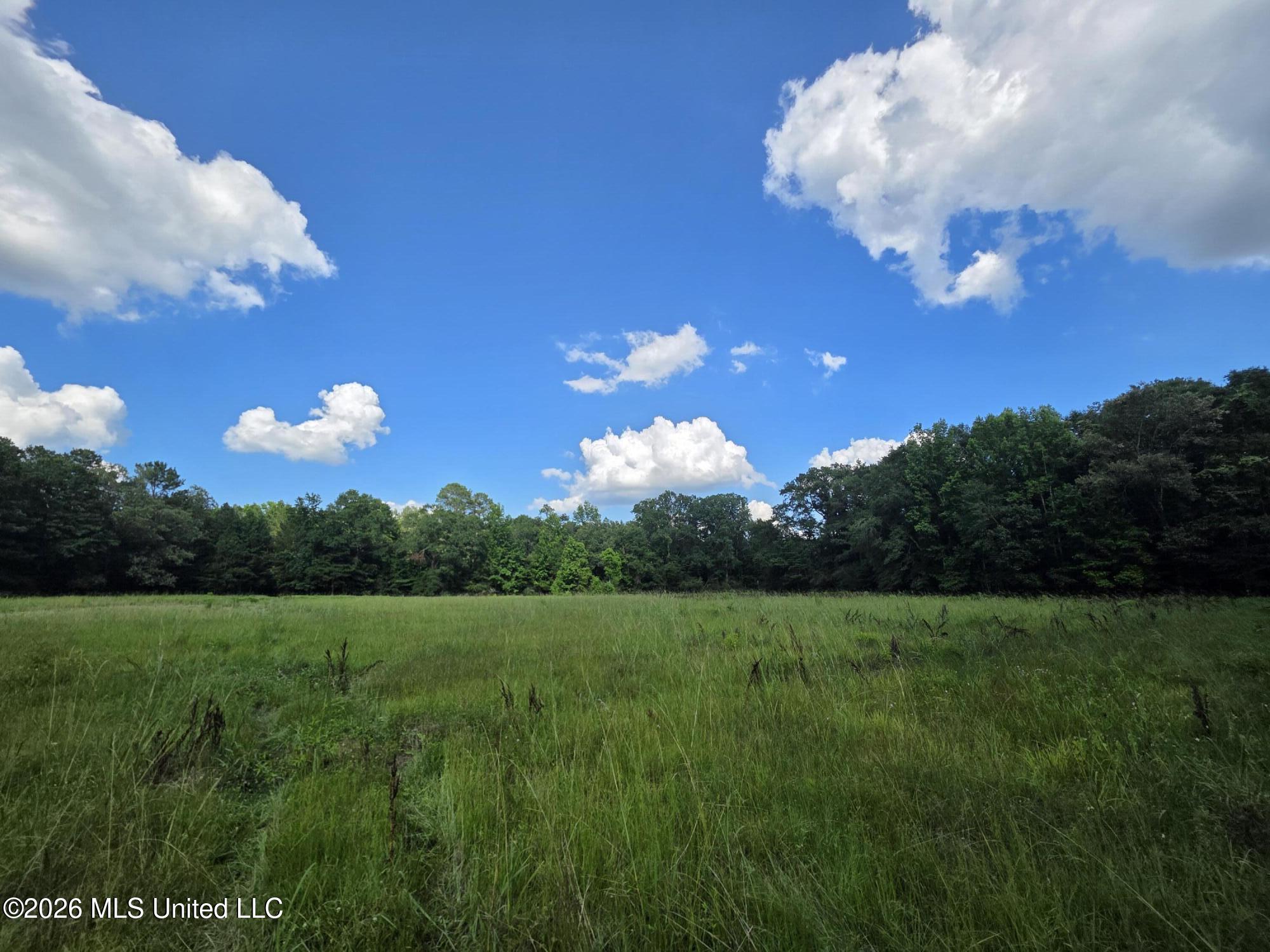 416 Summers Lane Property Photo 5