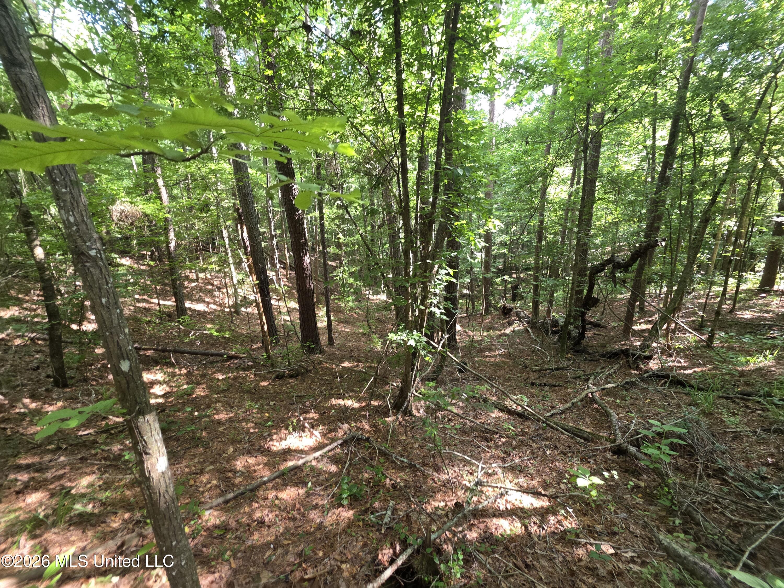 416 Summers Lane Property Photo 9