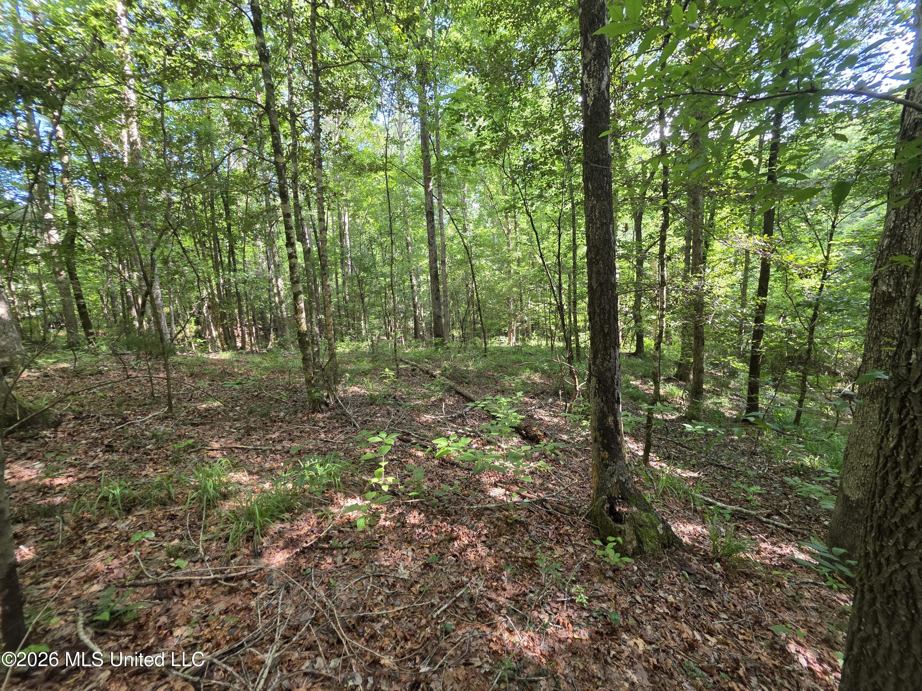 416 Summers Lane Property Photo 10