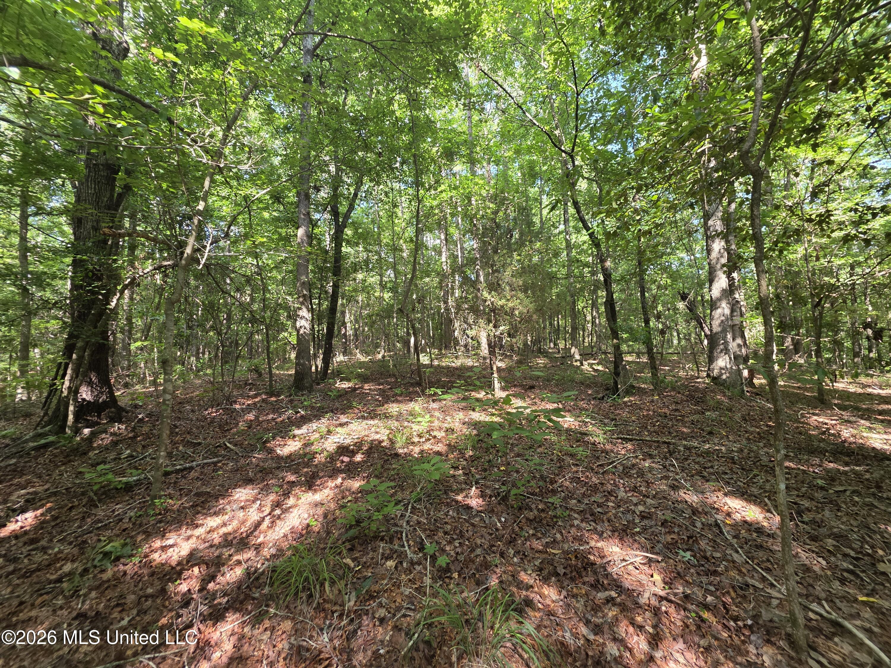 416 Summers Lane Property Photo 11