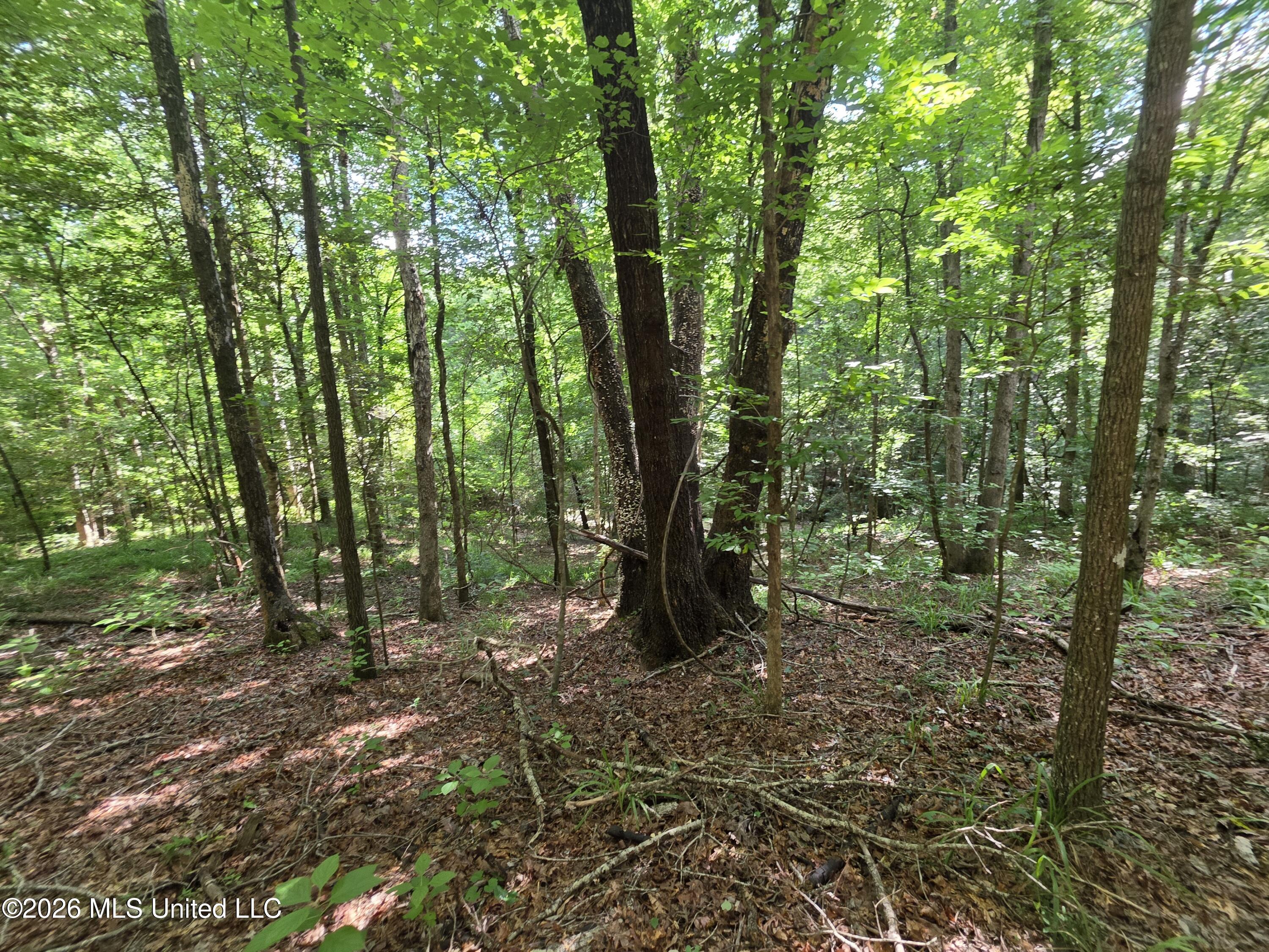 416 Summers Lane Property Photo 12