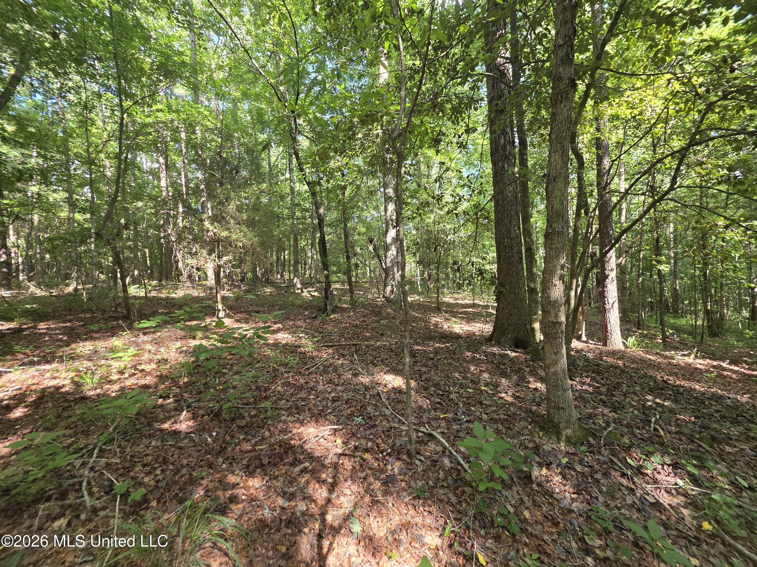 416 Summers Lane Property Photo 13