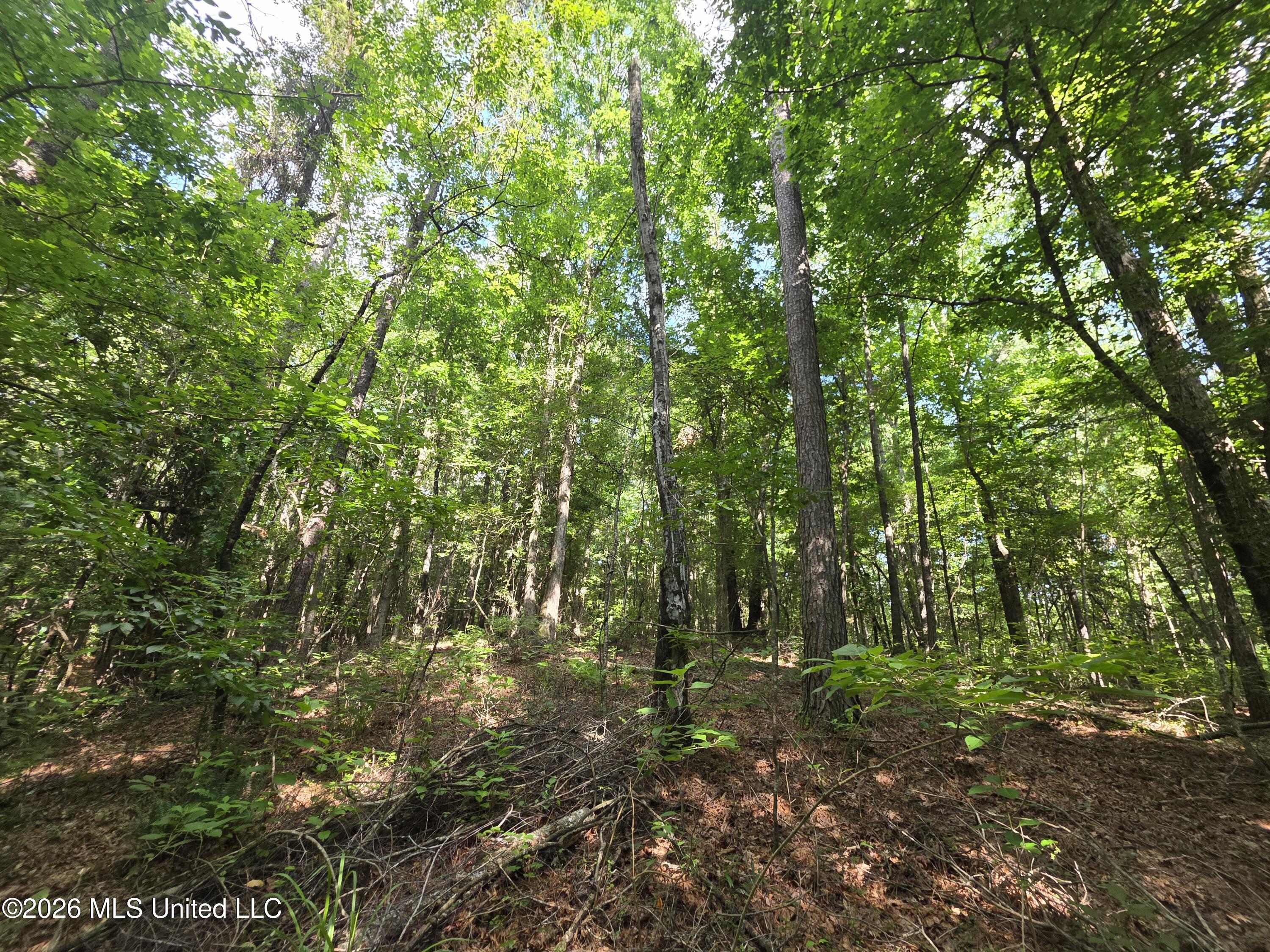416 Summers Lane Property Photo 14