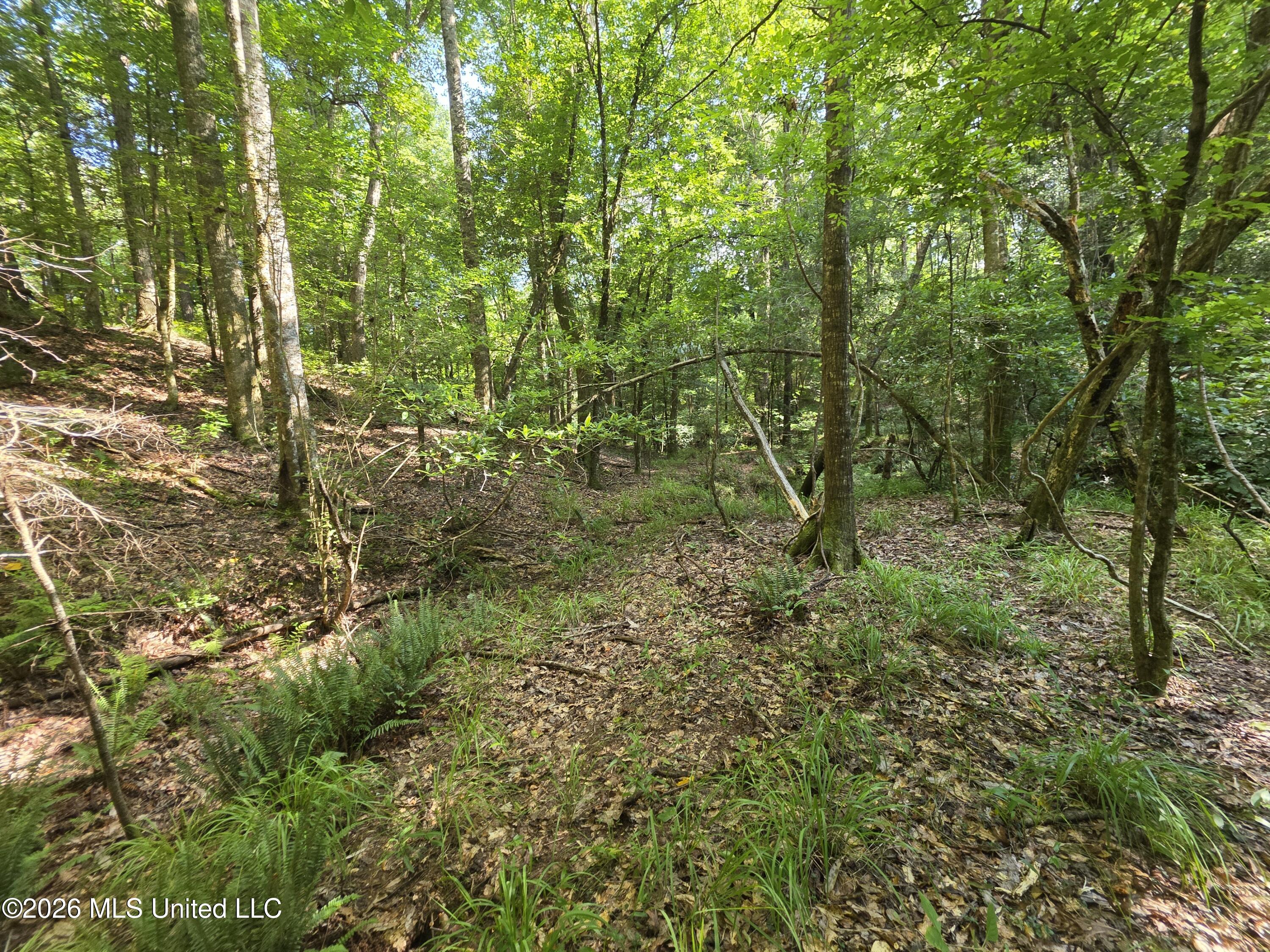 416 Summers Lane Property Photo 15