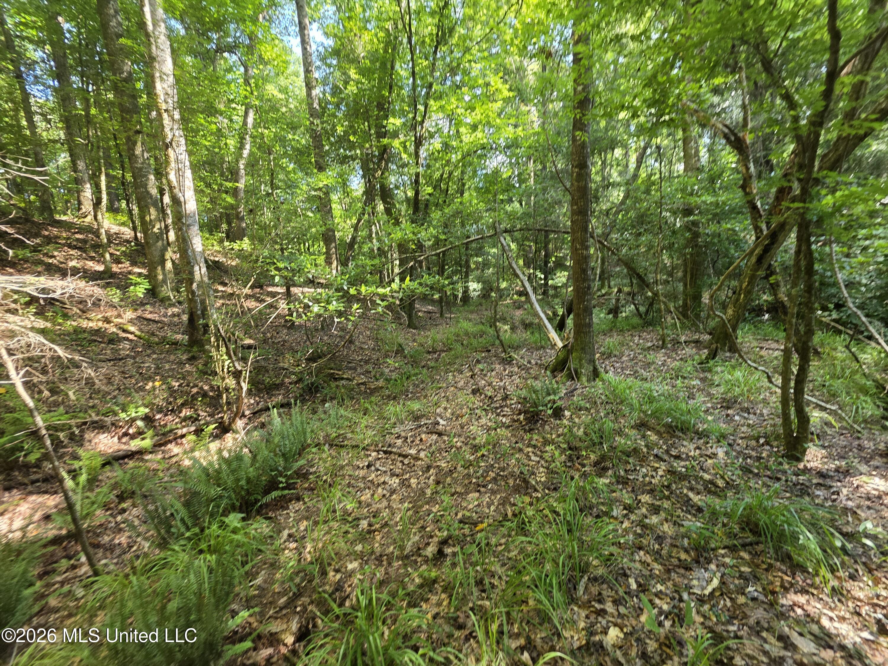 416 Summers Lane Property Photo 16