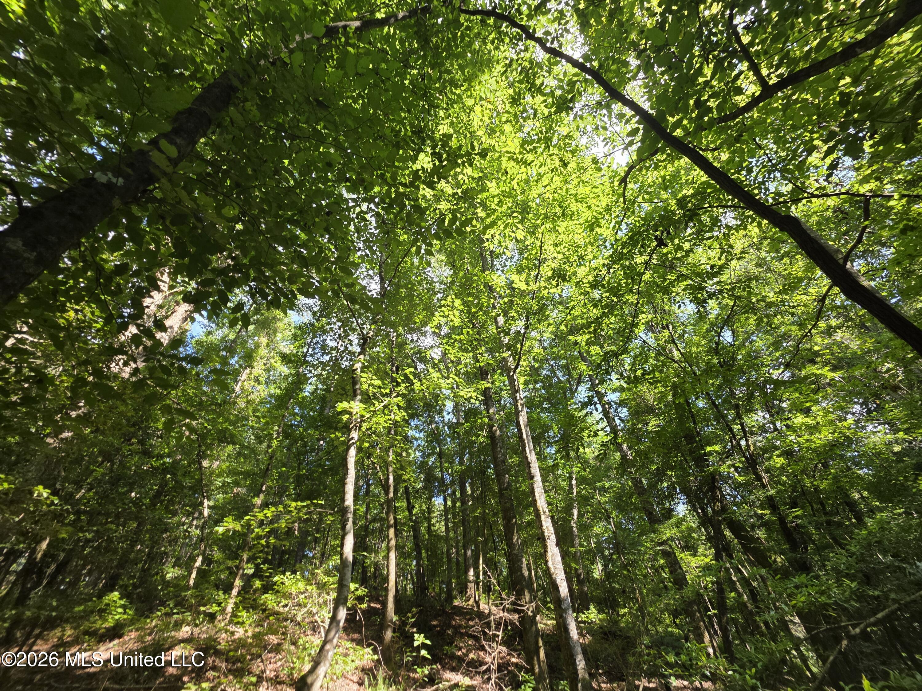 416 Summers Lane Property Photo 17
