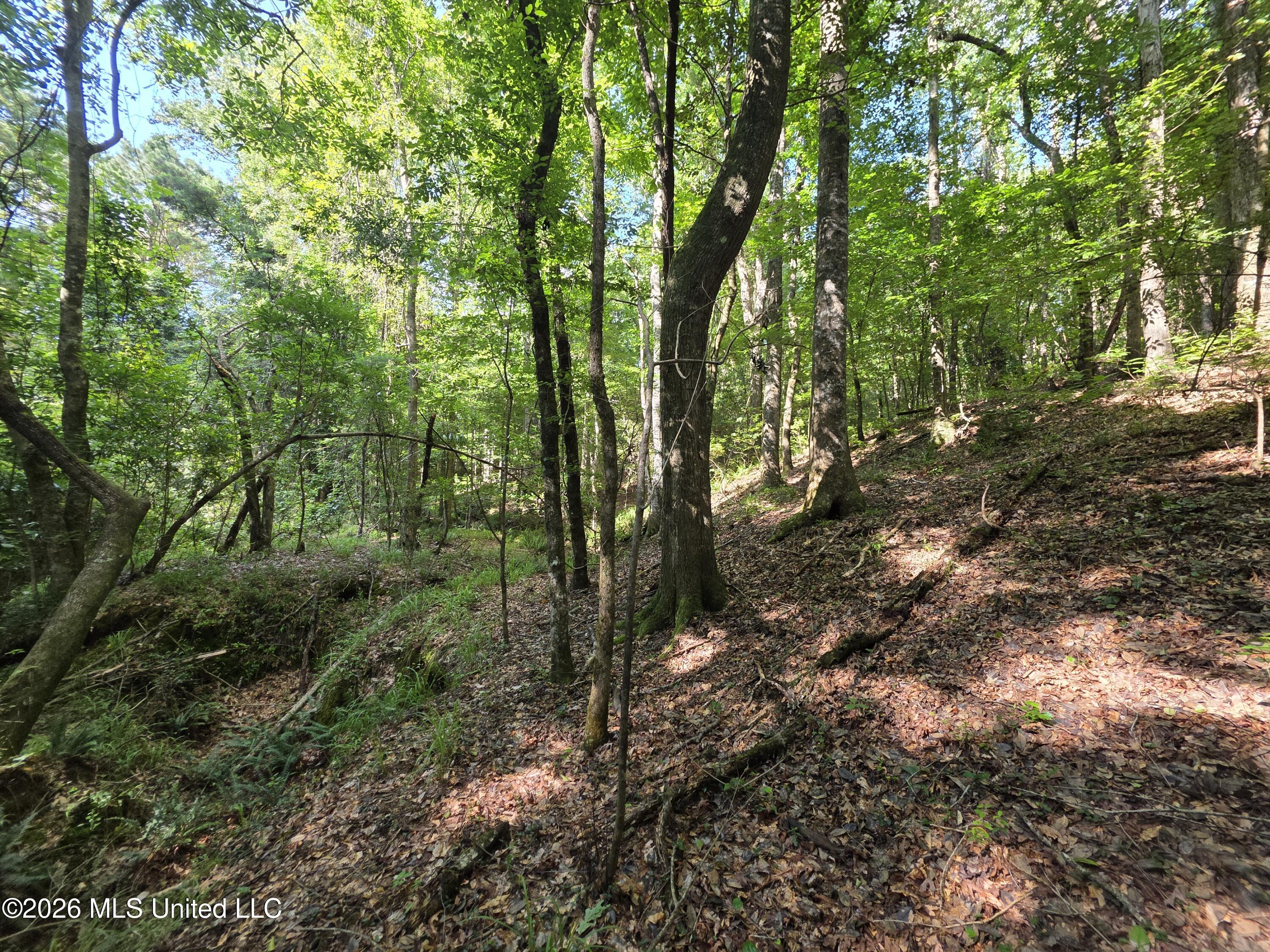 416 Summers Lane Property Photo 18